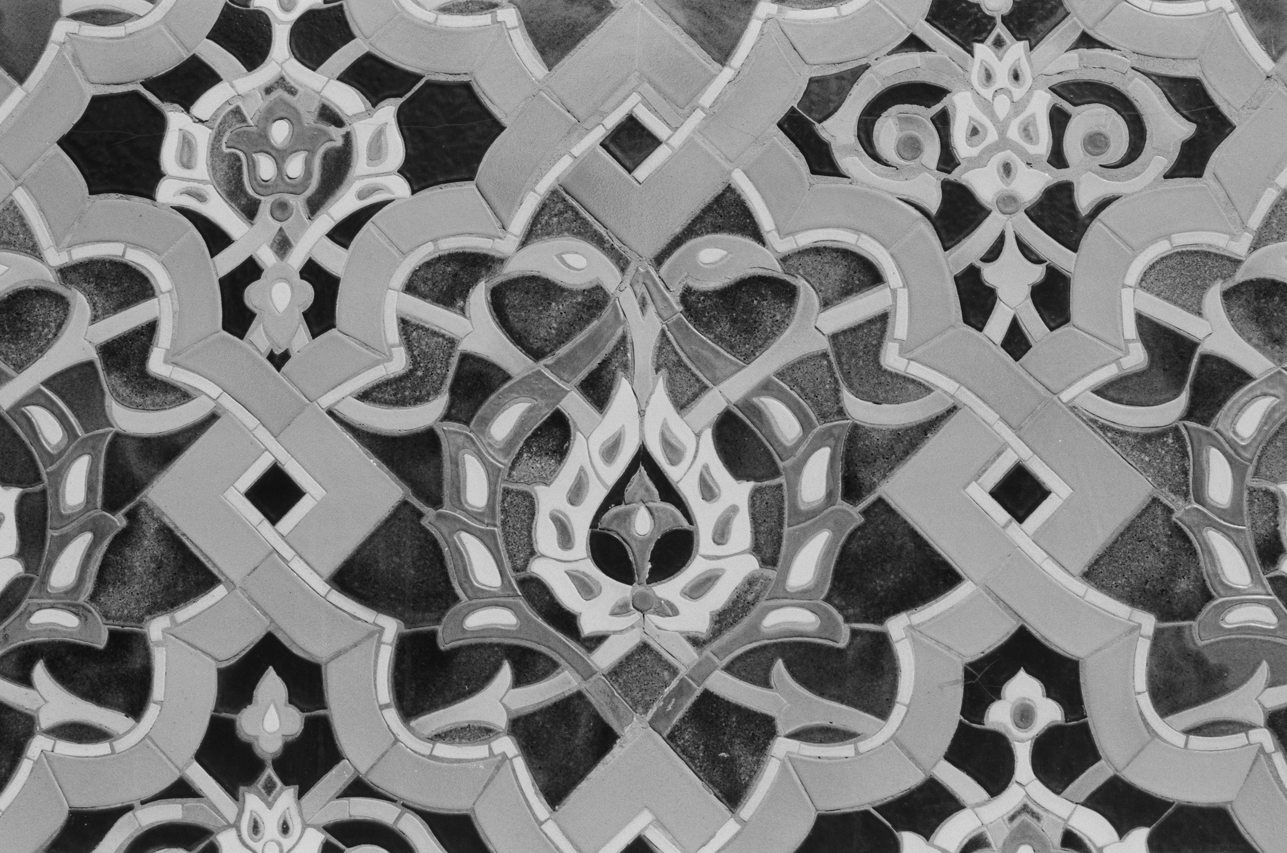 Black dog petersburg // st.-petersburg. EVER EXPOSED