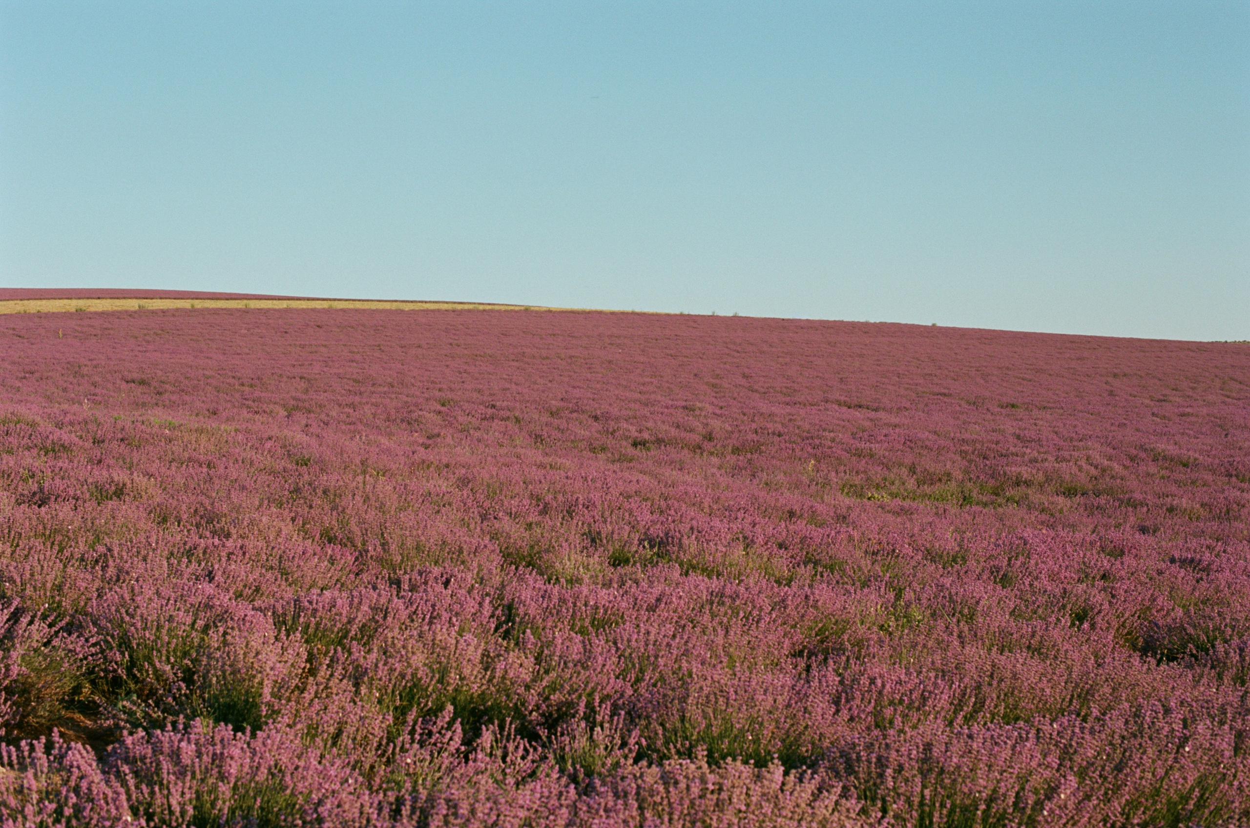 Silent running // ukraine, crimea VI. EVER EXPOSED