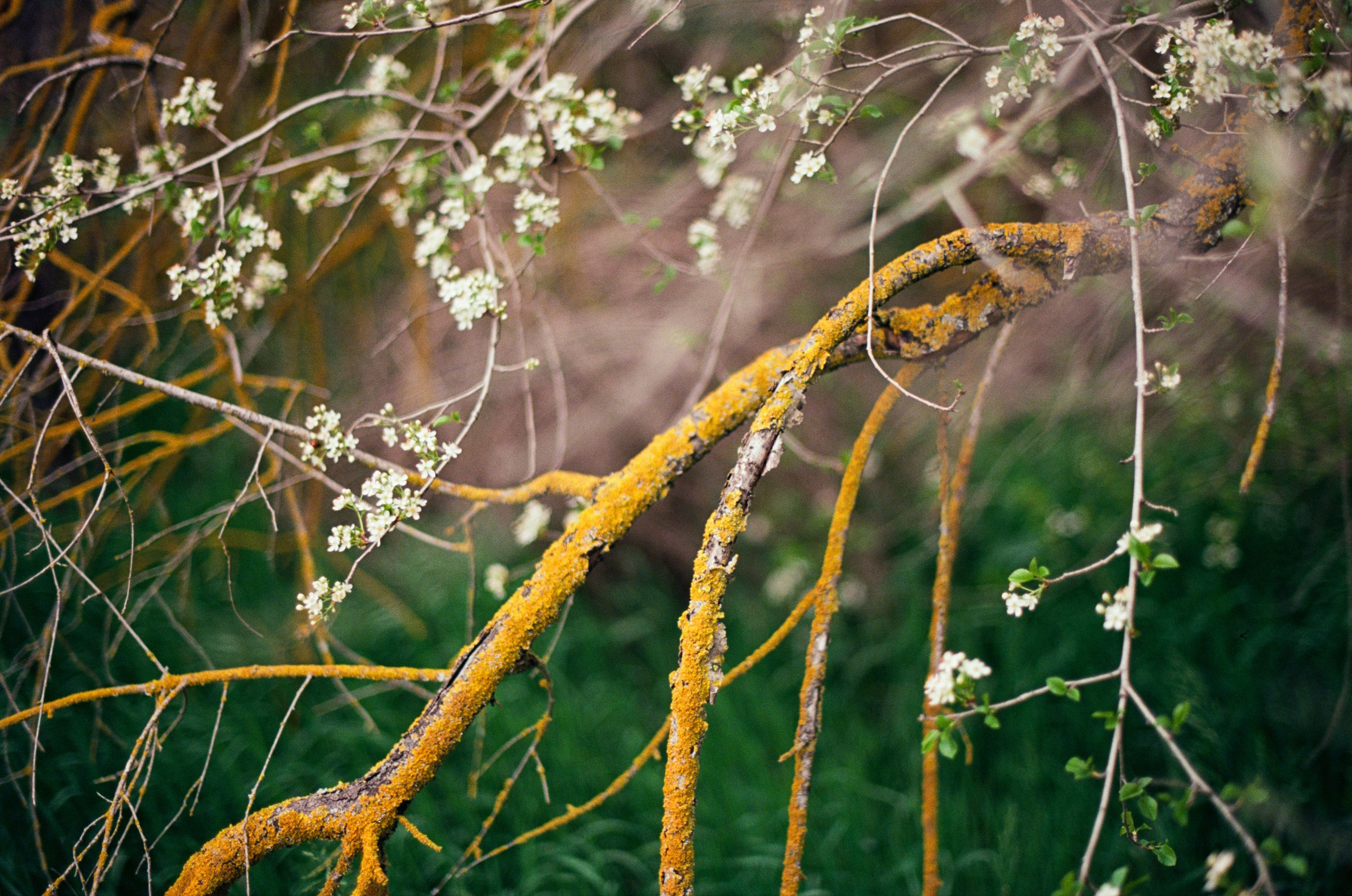 Follow you // ukraine, crimea II. EVER EXPOSED