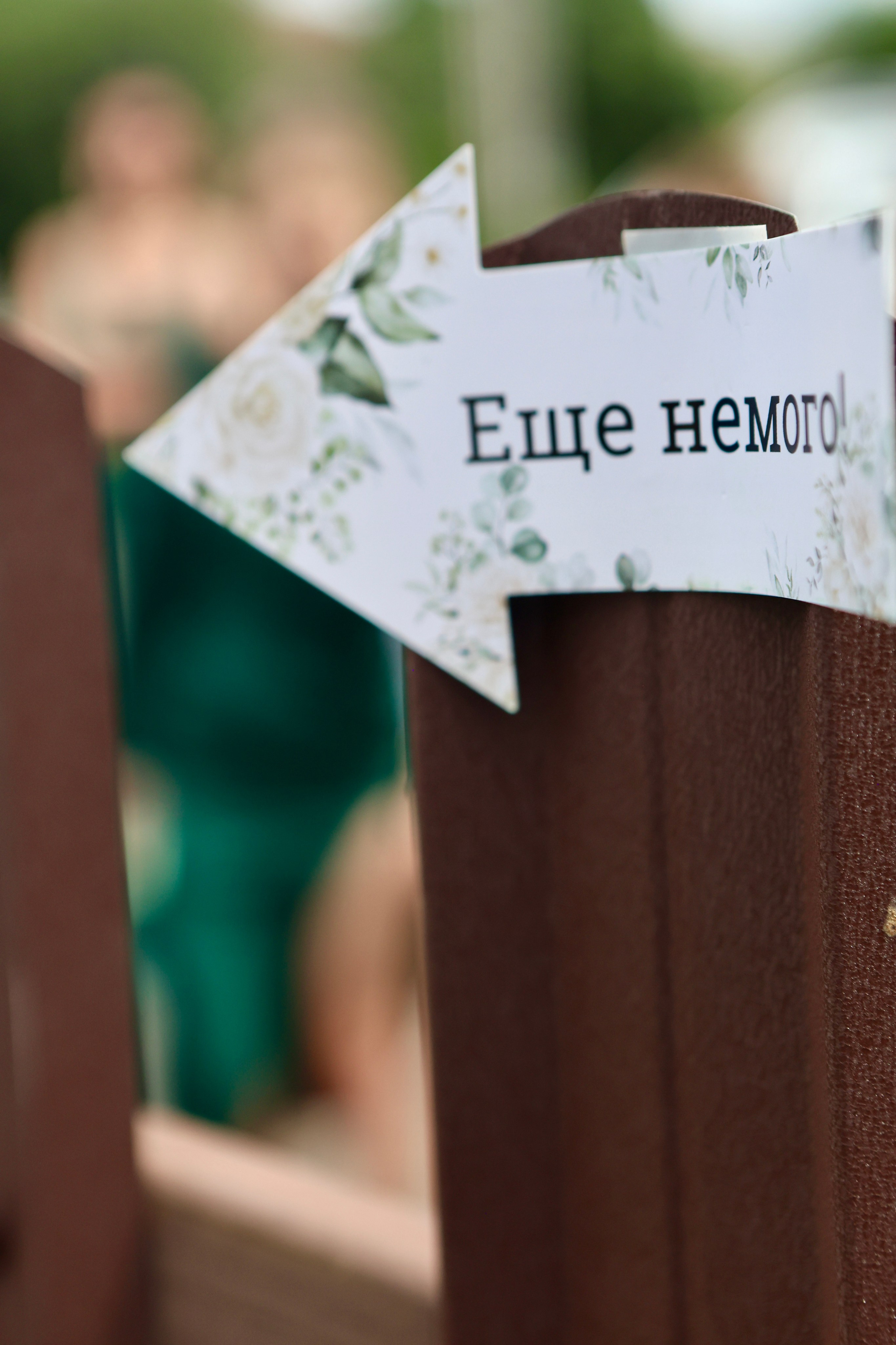 Свадьба Игоря и Татьяны. Фотограф в Курске Смирнов Евгений