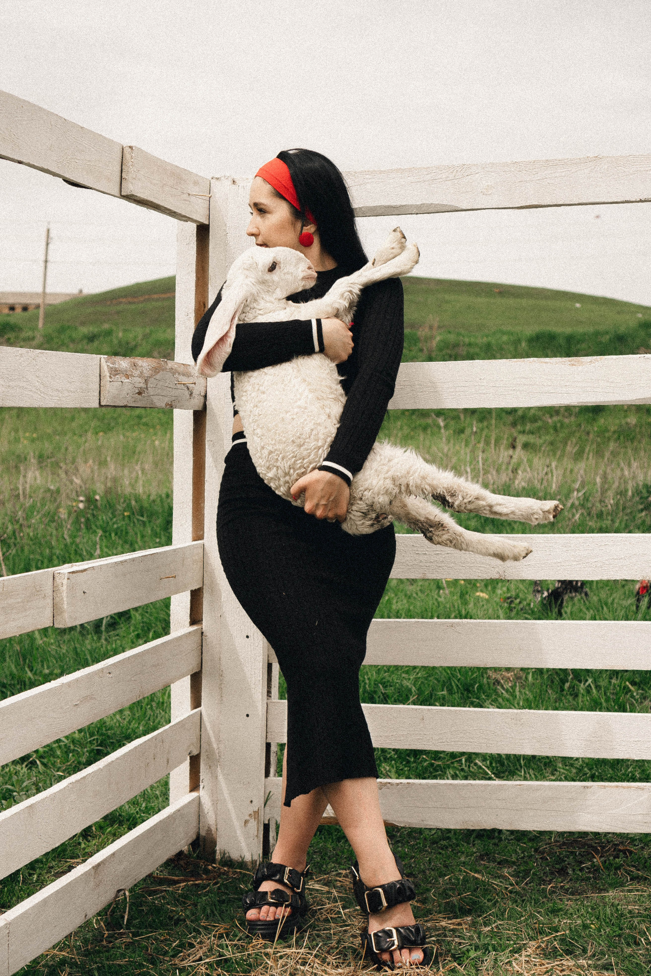 Ферма Альпак. Профессиональный фотограф, Санкт-Петербург — Виктория Богомолова