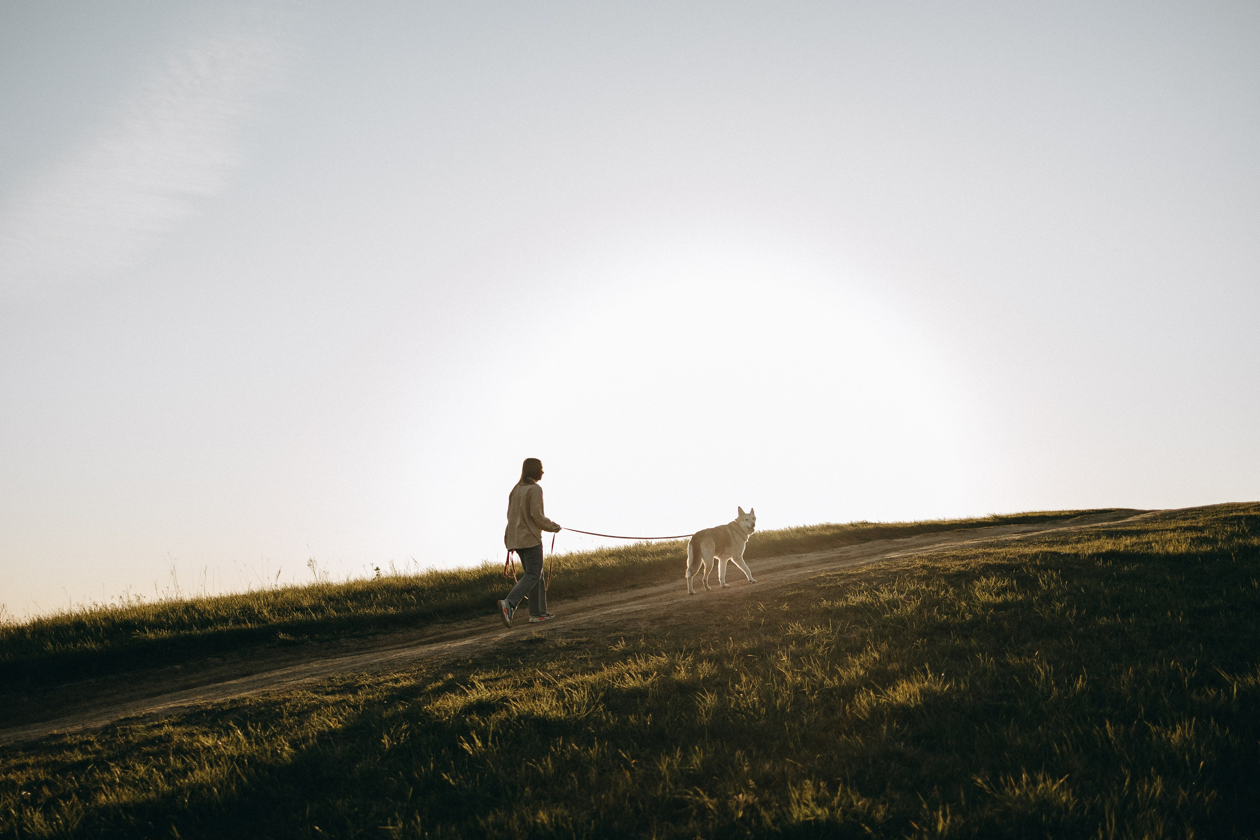 Саша и Зельда. Фотограф — Анималист | Санкт-Петербург