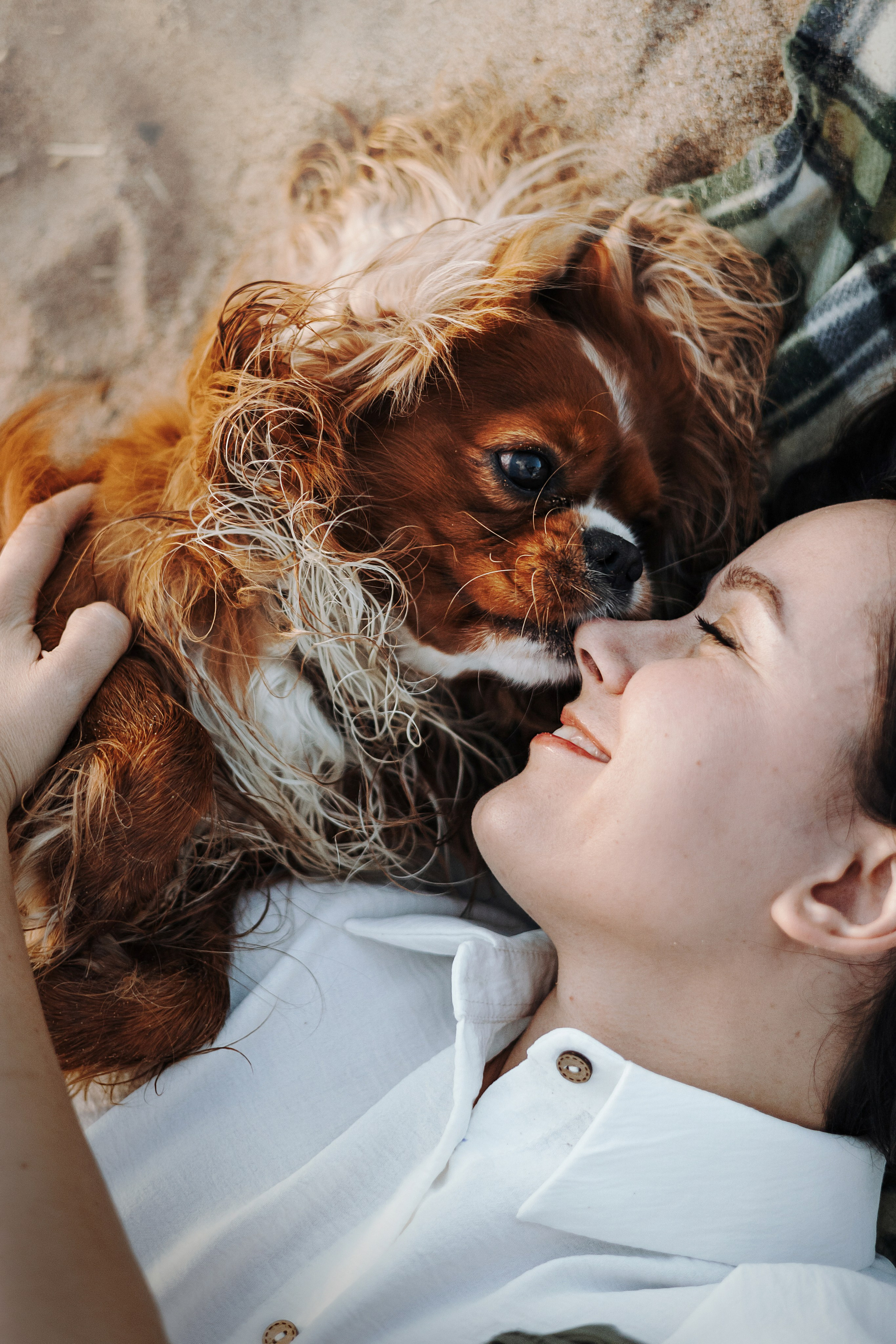 Верон, Гарри и их семья. Фотограф — Анималист | Санкт-Петербург