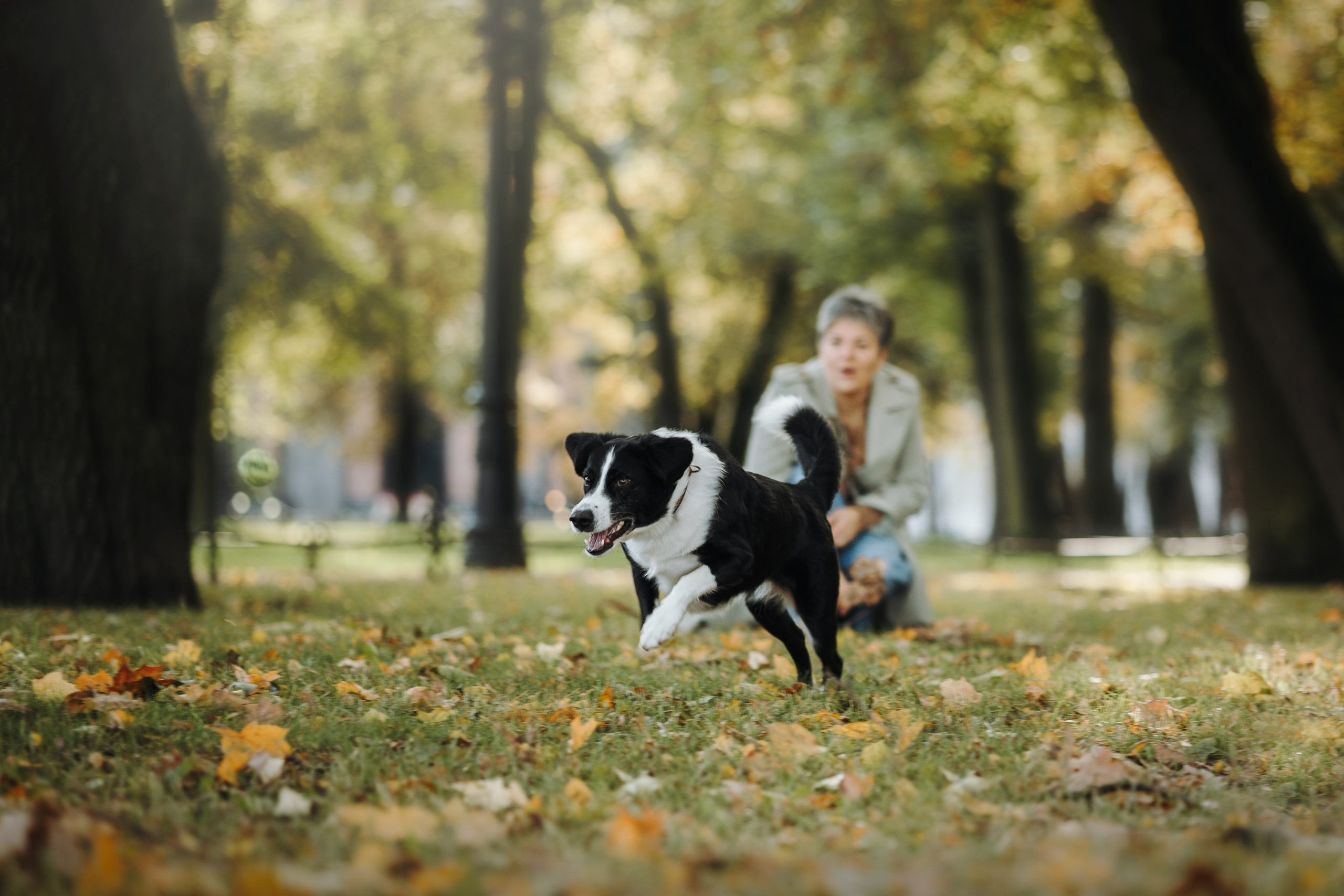 Мишель и ее семья. Фотограф — Анималист | Санкт-Петербург