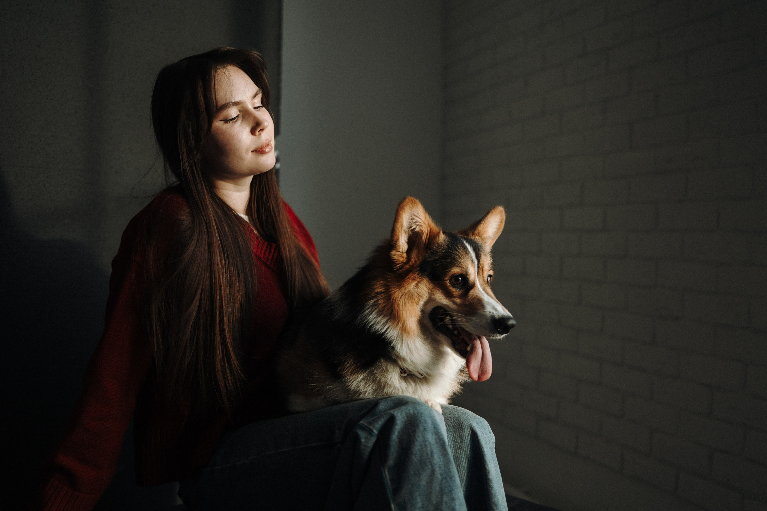 Настя и Коржик. Фотограф — Анималист | Санкт-Петербург