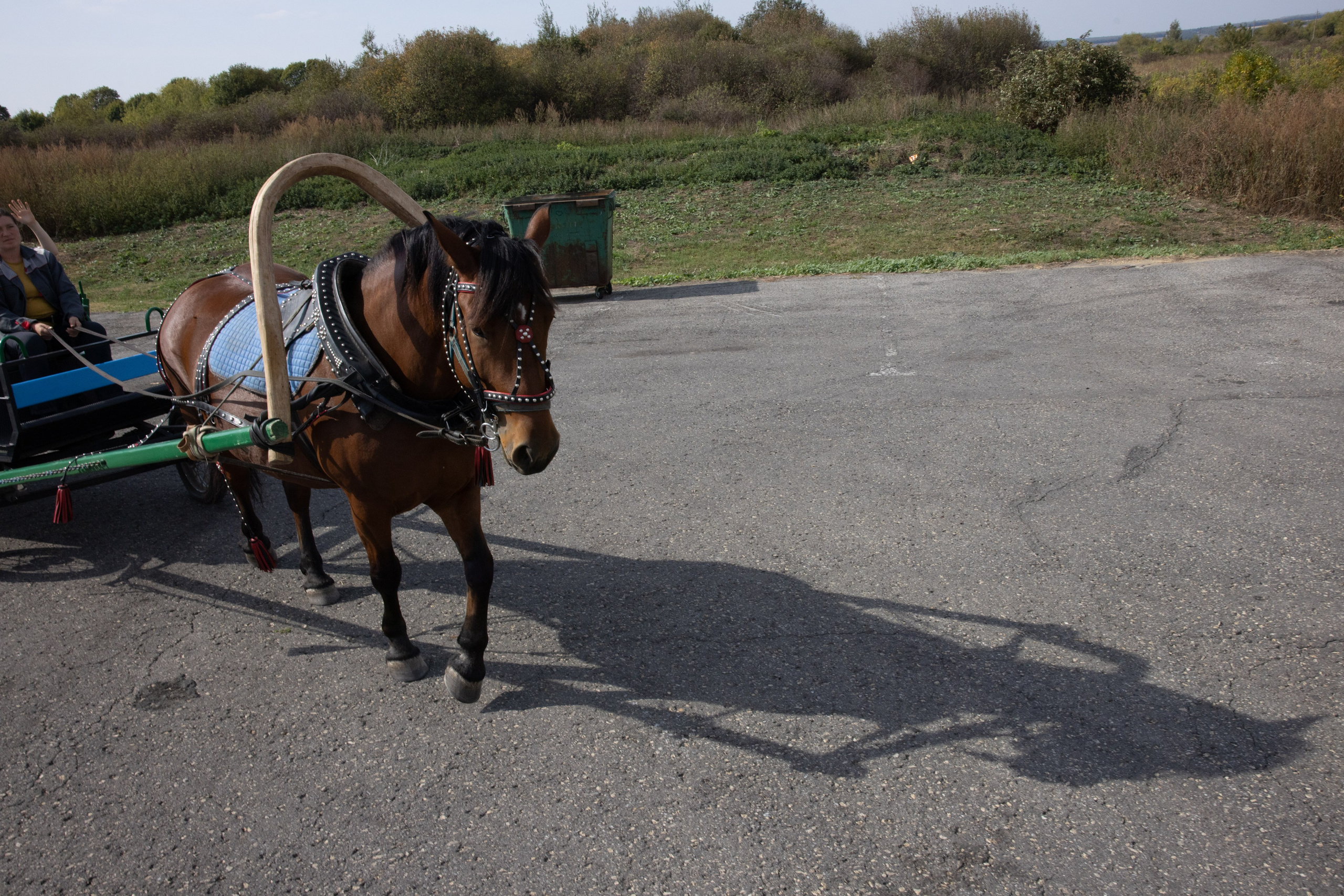 Поездка на поле Кулеково. Фотограф в Туле Крупский АнДРей. Фотостудия «КАДР71» в Туле