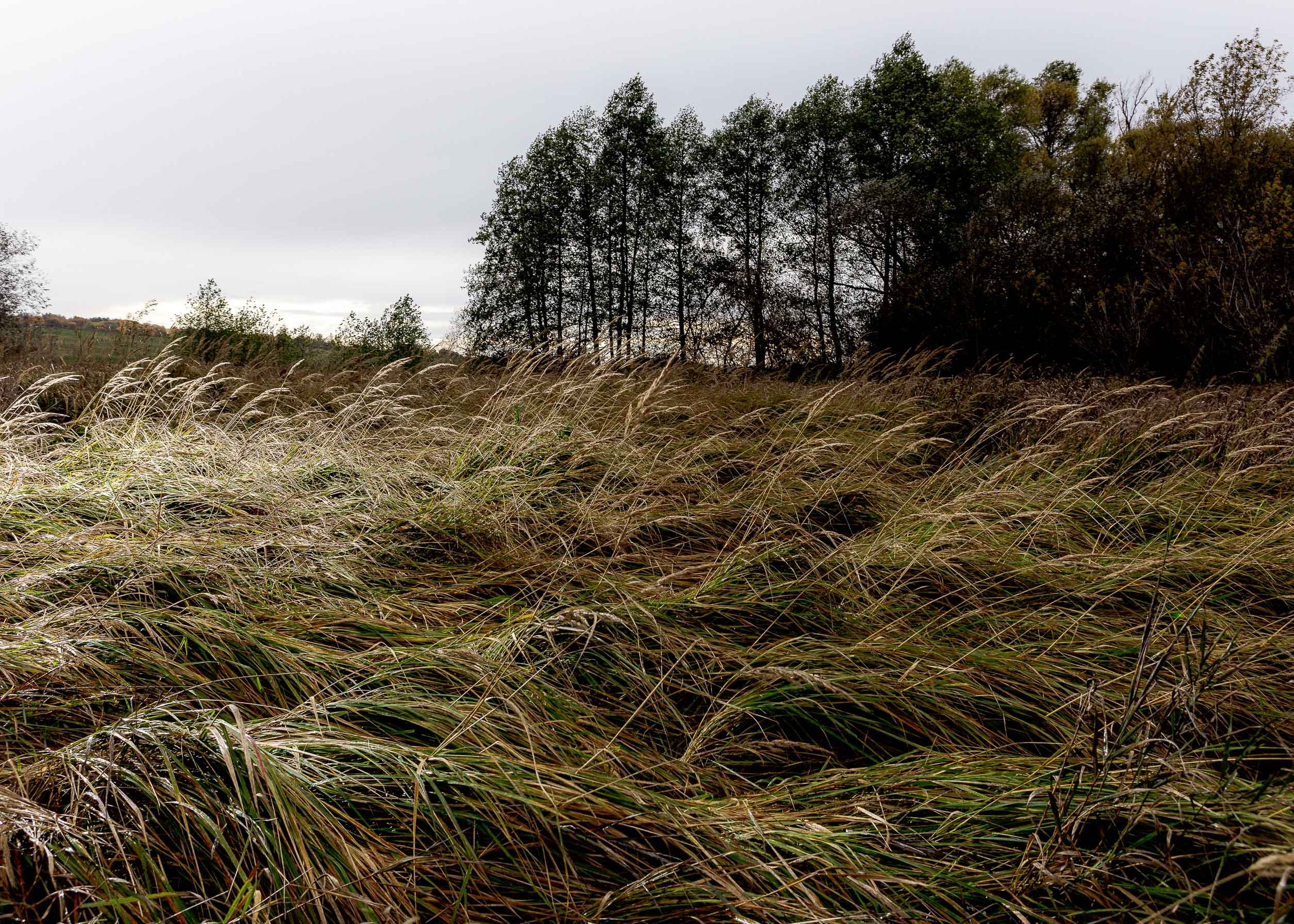 Незаконченный проект