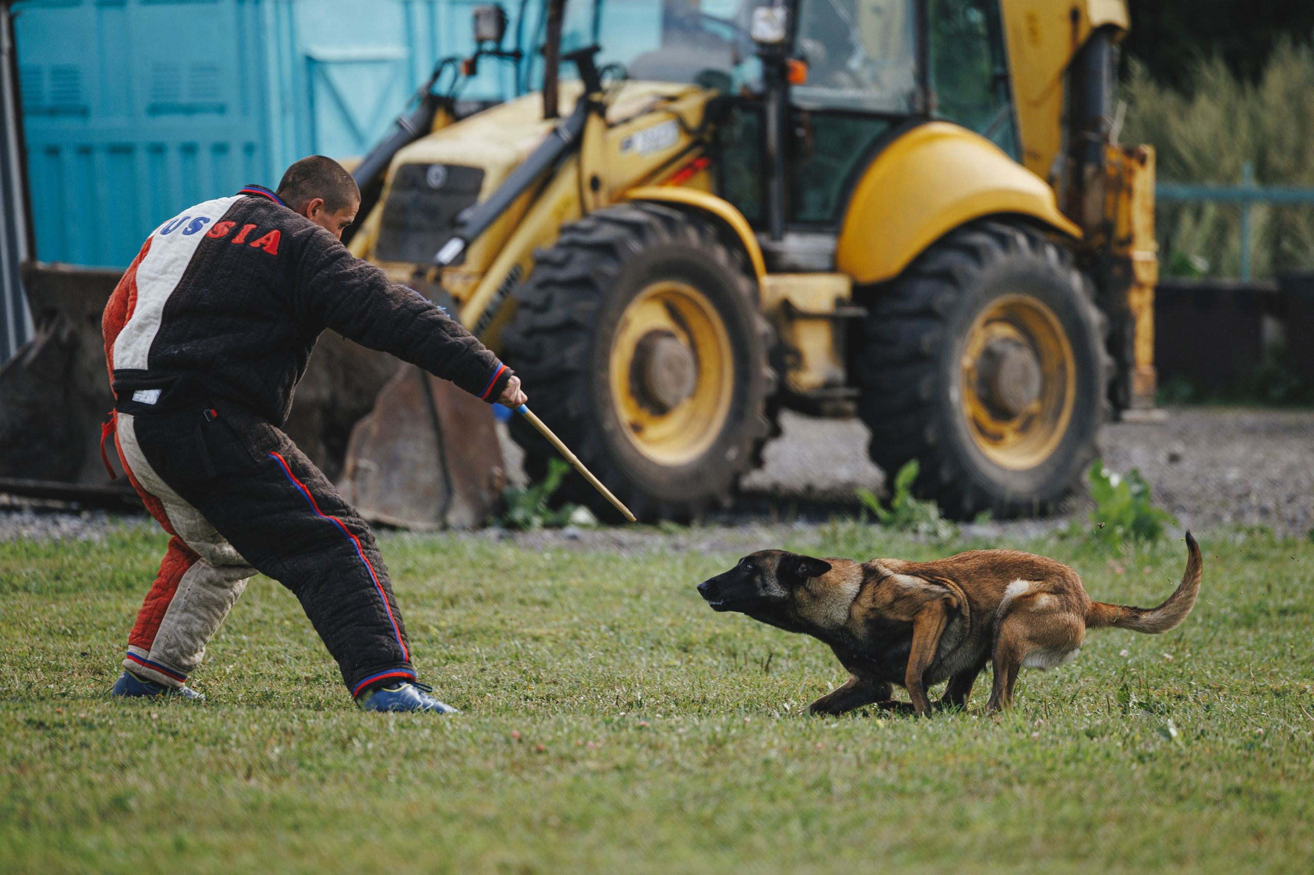 08.08.25-10.08.25 ЧР по мондьорингу г. Вологда. Фотограф-анималист Анна Маринич
