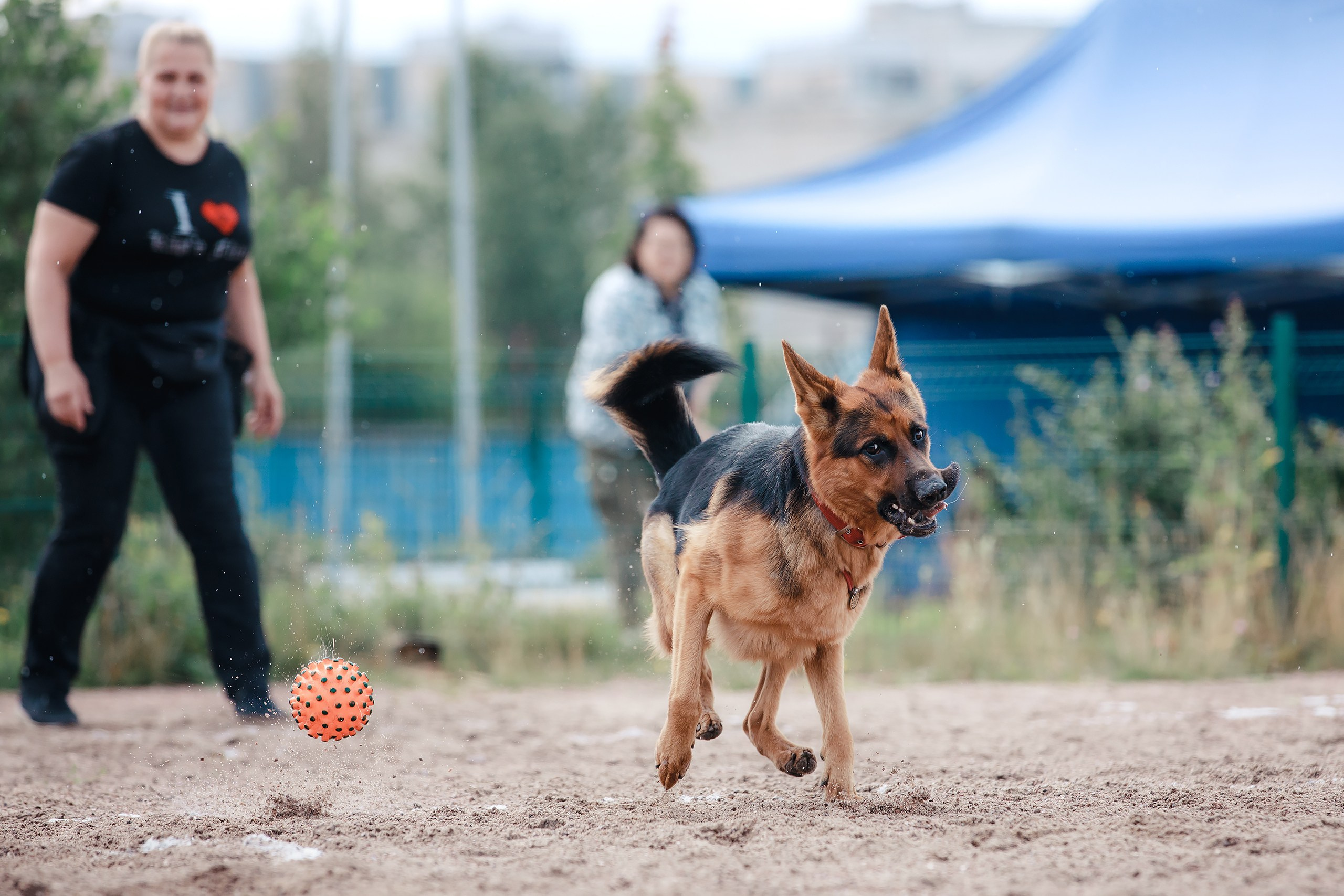 Питч&Гоу + веселые старты. Фотограф-анималист Mary Mart — Москва, Питер