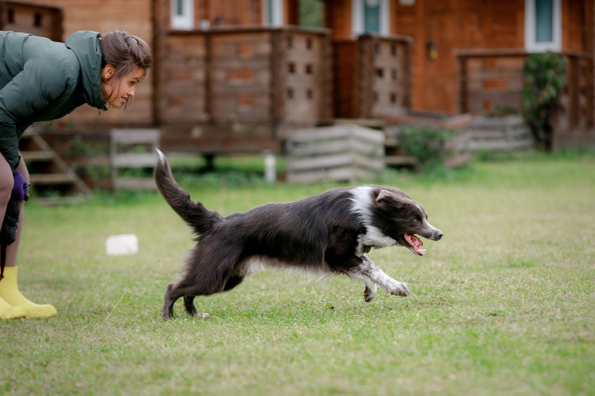 Лагерь по ОБД с Инной Баженовой. Фотограф-анималист Mary Mart — Москва, Питер