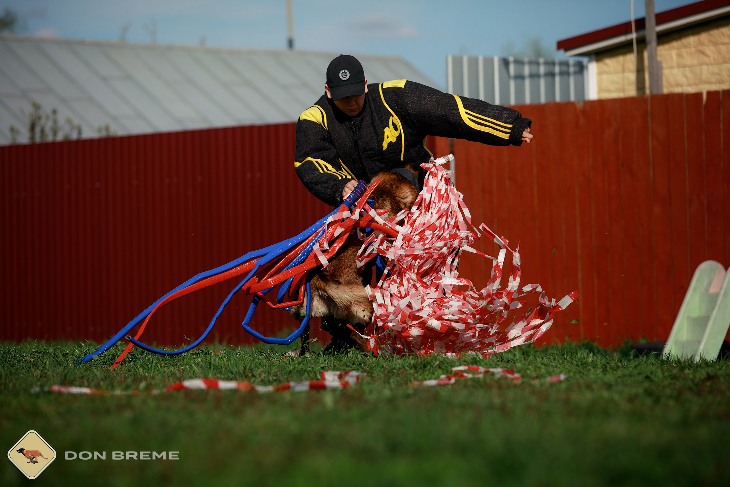 Семинар для фигурантов, день 2. Фотограф-анималист Mary Mart — Москва, Питер