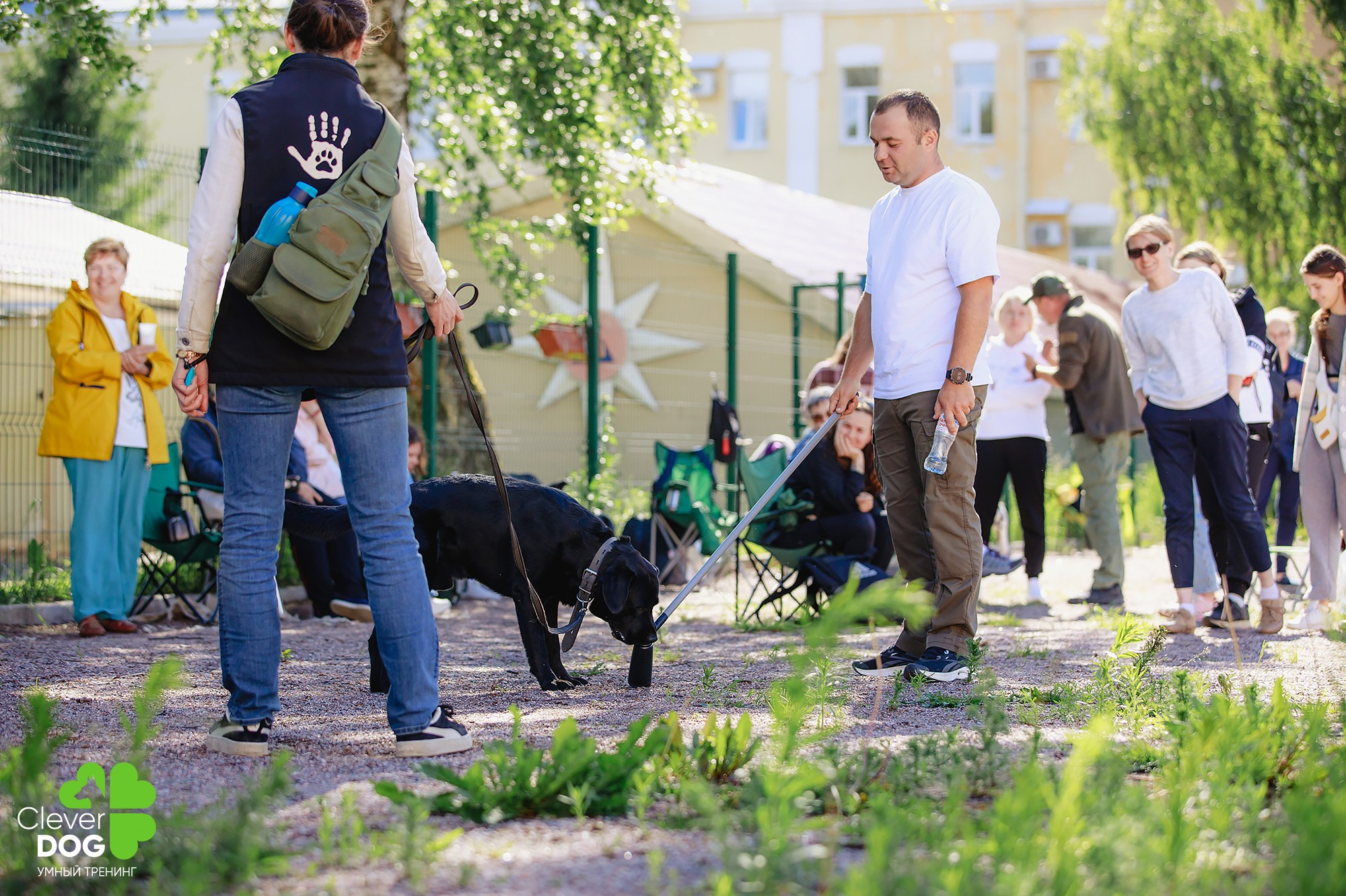 Семинар по поиску запаха с Иваном Ломовым, организатор CleverDog, СПб. Фотограф-анималист Mary Mart — Москва, Питер