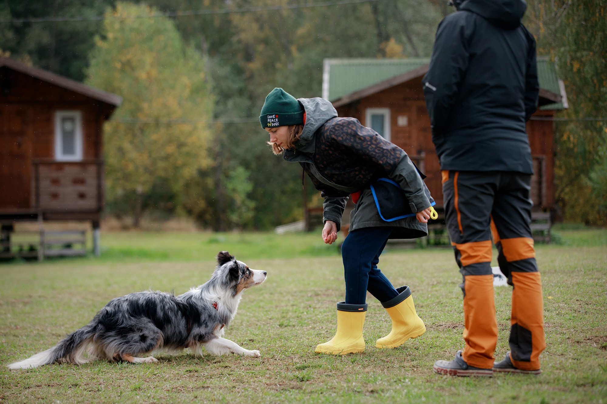 Лагерь по ОБД с Инной Баженовой. Фотограф-анималист Mary Mart — Москва, Питер
