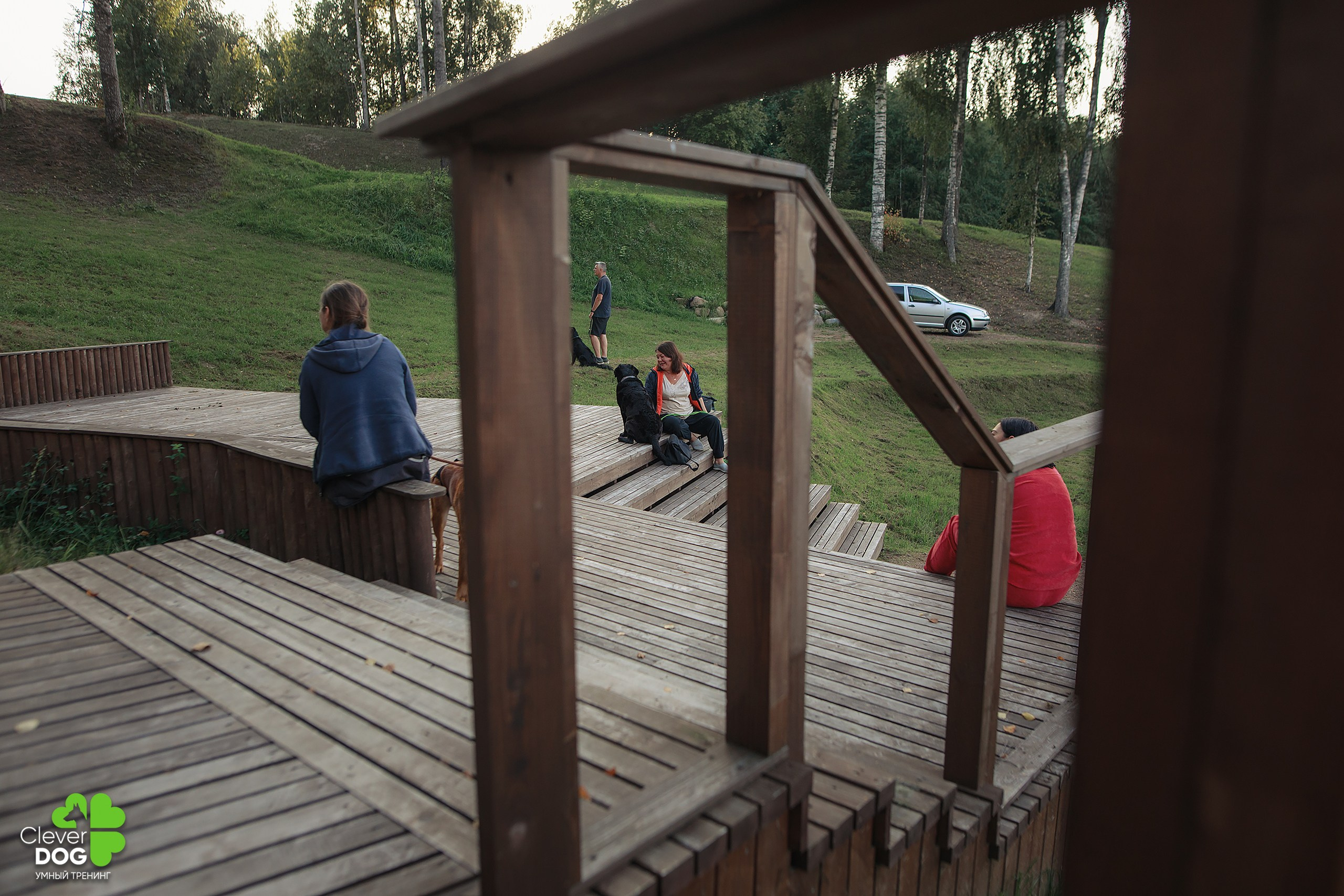 Кинологический лагерь CleverDog, 2024. Фотограф-анималист Mary Mart — Москва, Питер