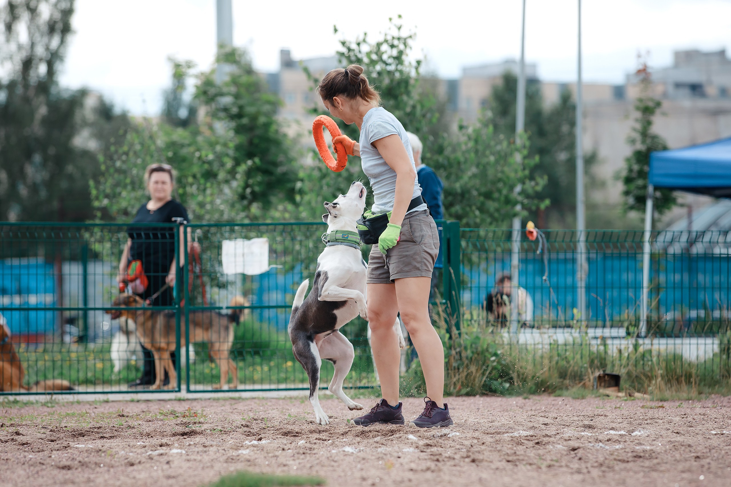 Питч&Гоу + веселые старты. Фотограф-анималист Mary Mart — Москва, Питер