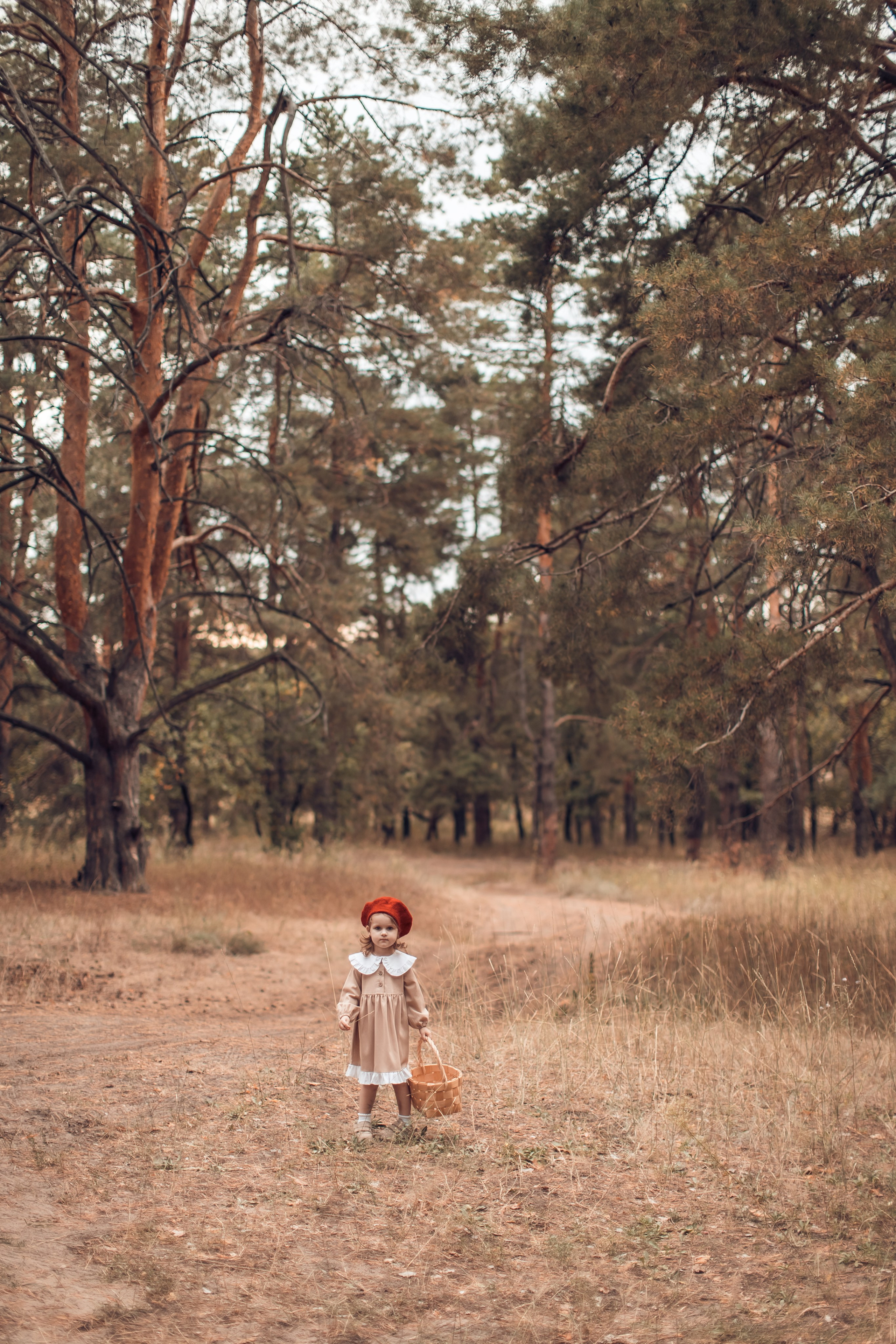 Прогулка в Широком. Главная