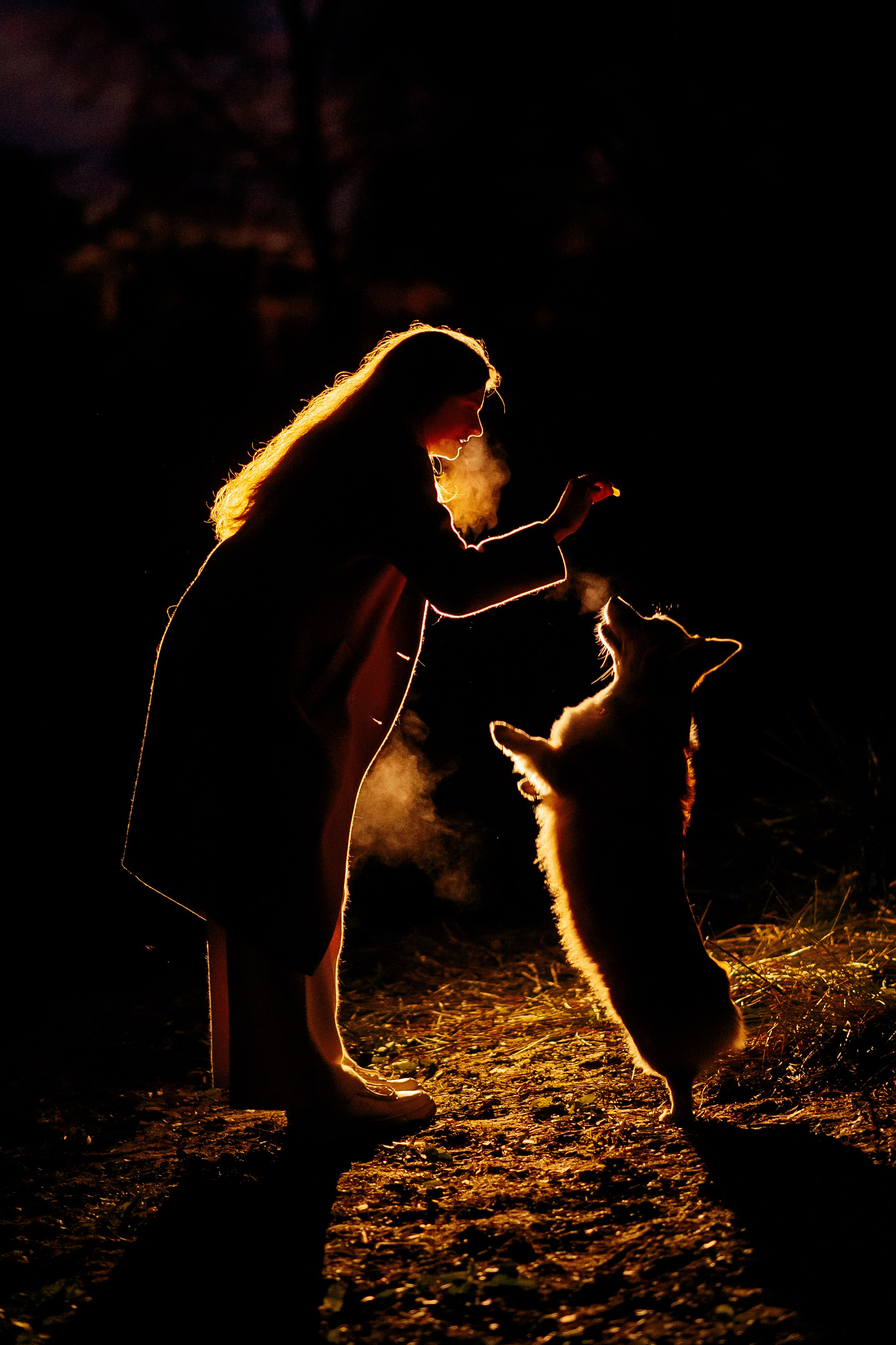 Максим, Аня и Челси — 19.10.2024. Фотограф — Анималист | Анна Абрамова