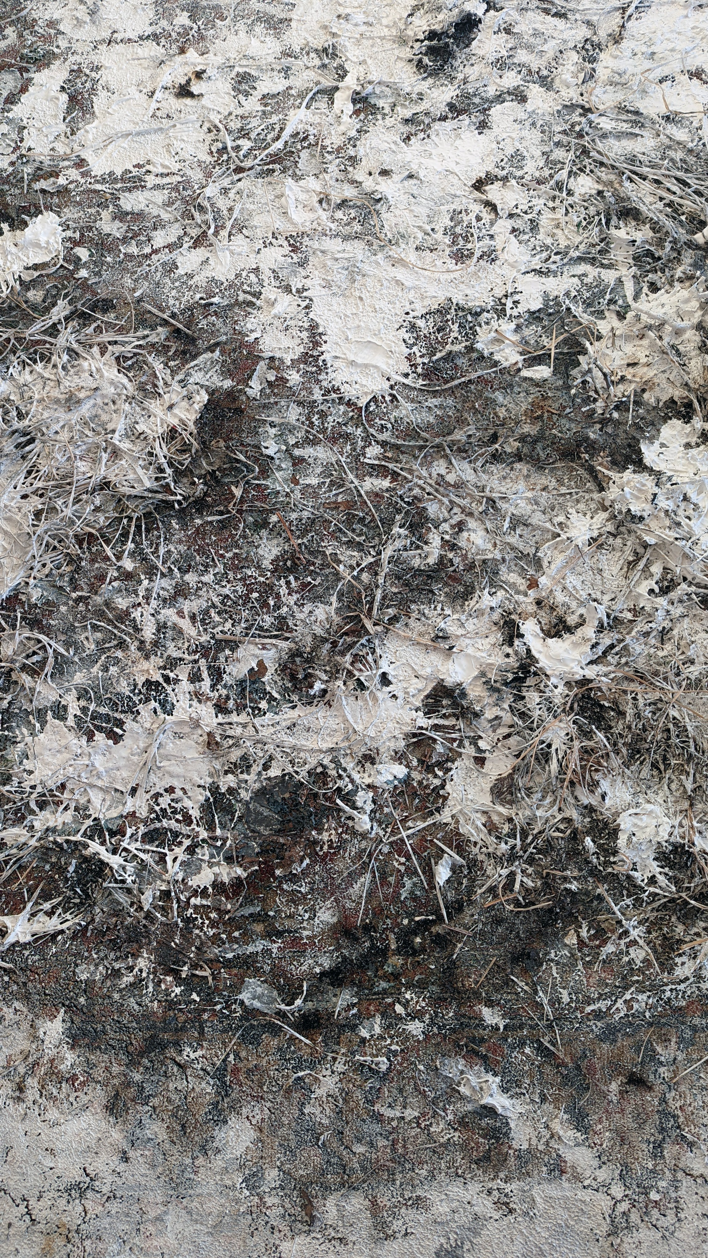 Белый ковёр. Рузанна Тетерина