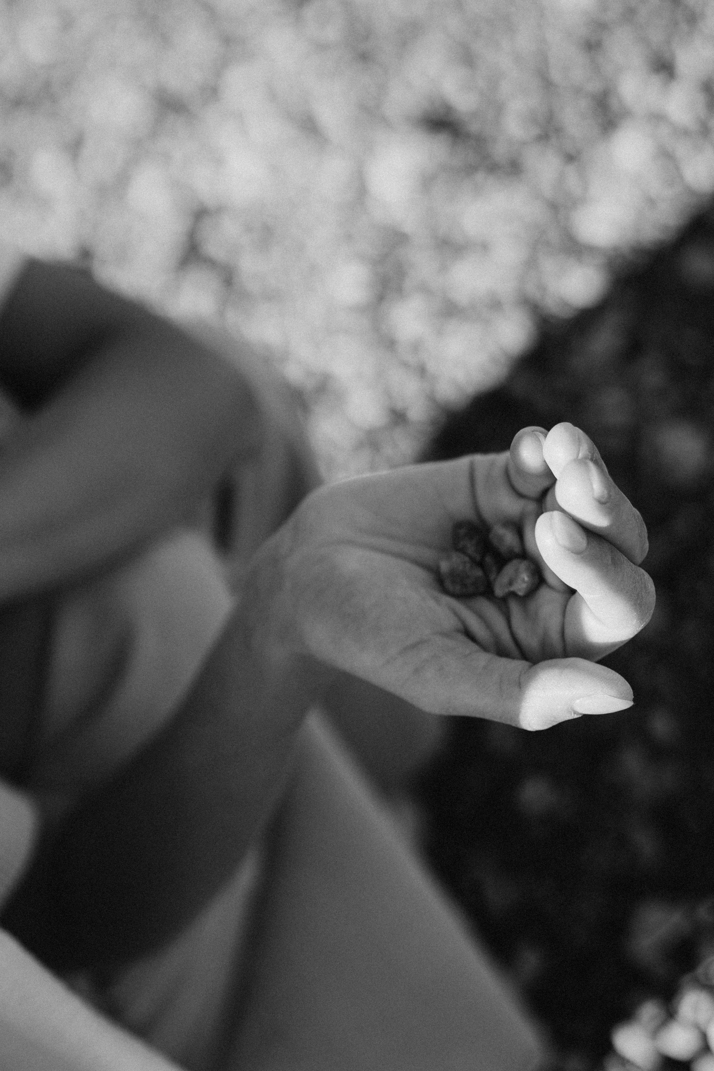 Мария. Дмитриева Светлана женский и семейный фотограф Рига, Москва, Геленджик