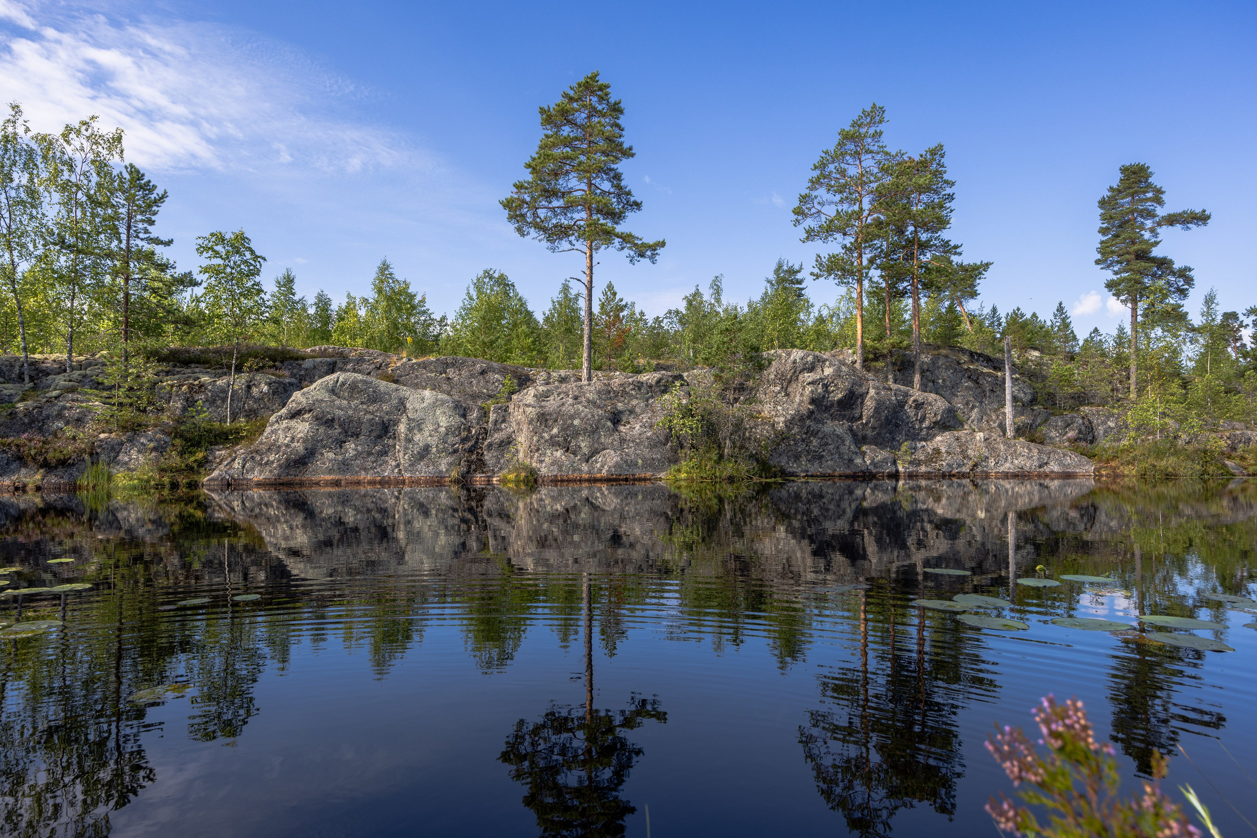 Ладога. Автомобильная фотография в Санкт-Петербурге