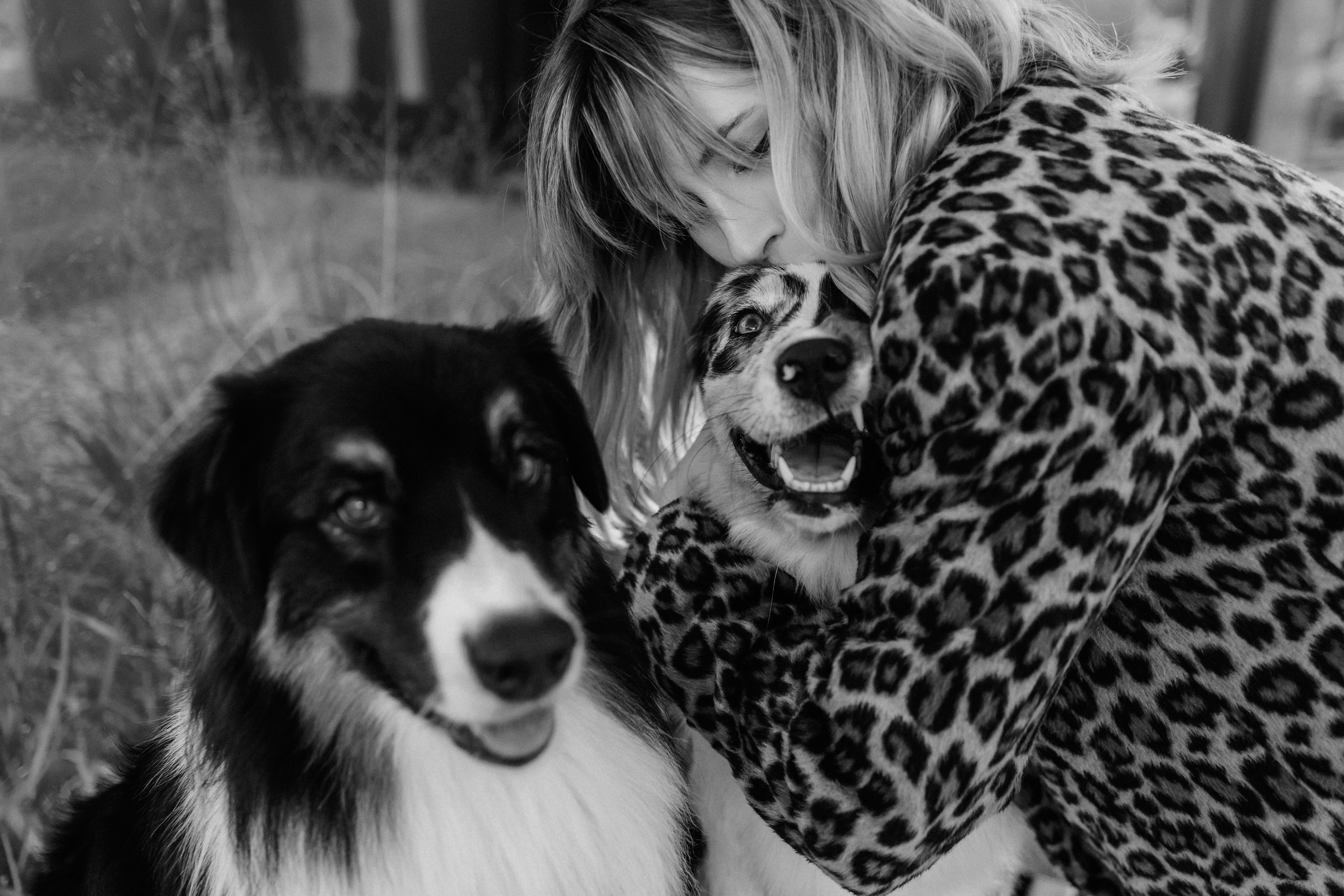 Аня, Чарли и Ева. Фотограф-анималист Елена Радченко, Москва