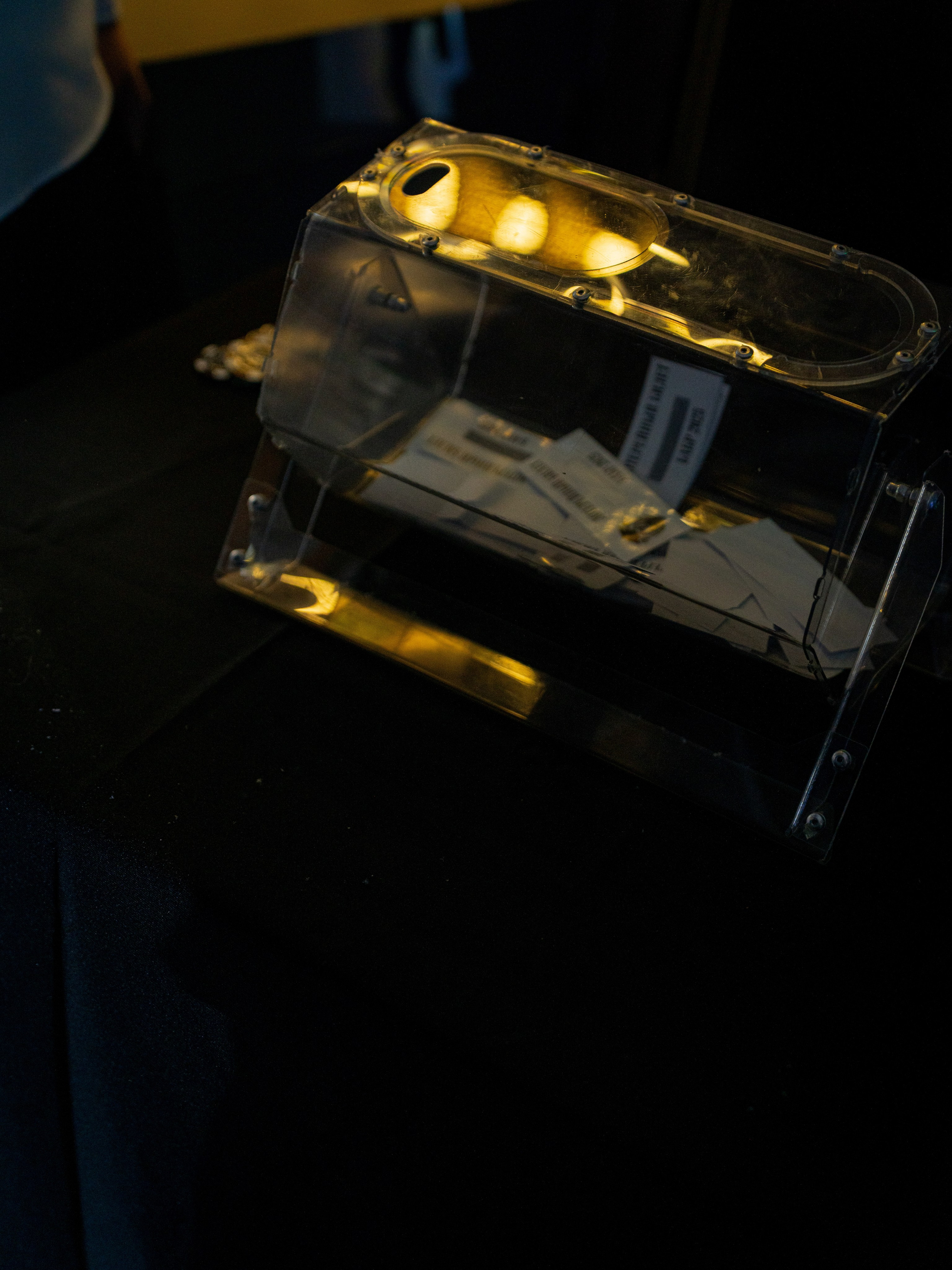 Бабр 2025. Фотограф в Иркутске на все важные случаи жизни