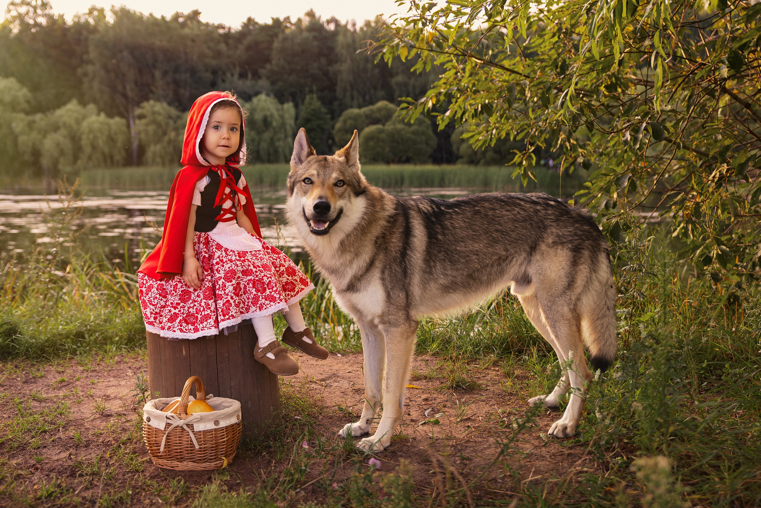 История невероятно храброй и милой Красной шапочки). Трубинова Екатерина | Семейный фотограф | Москва