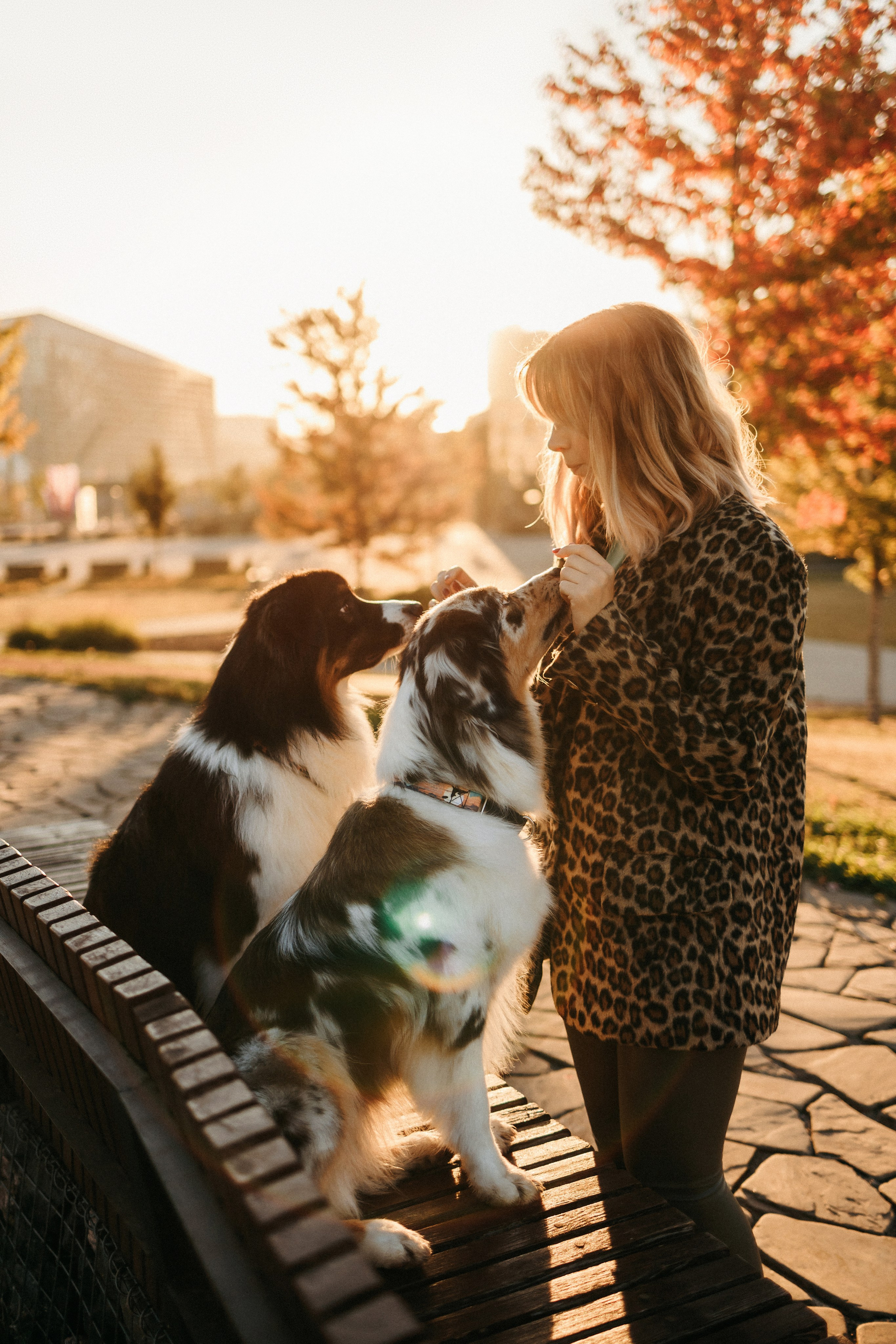 Аня, Чарли и Ева. Фотограф-анималист Елена Радченко, Москва