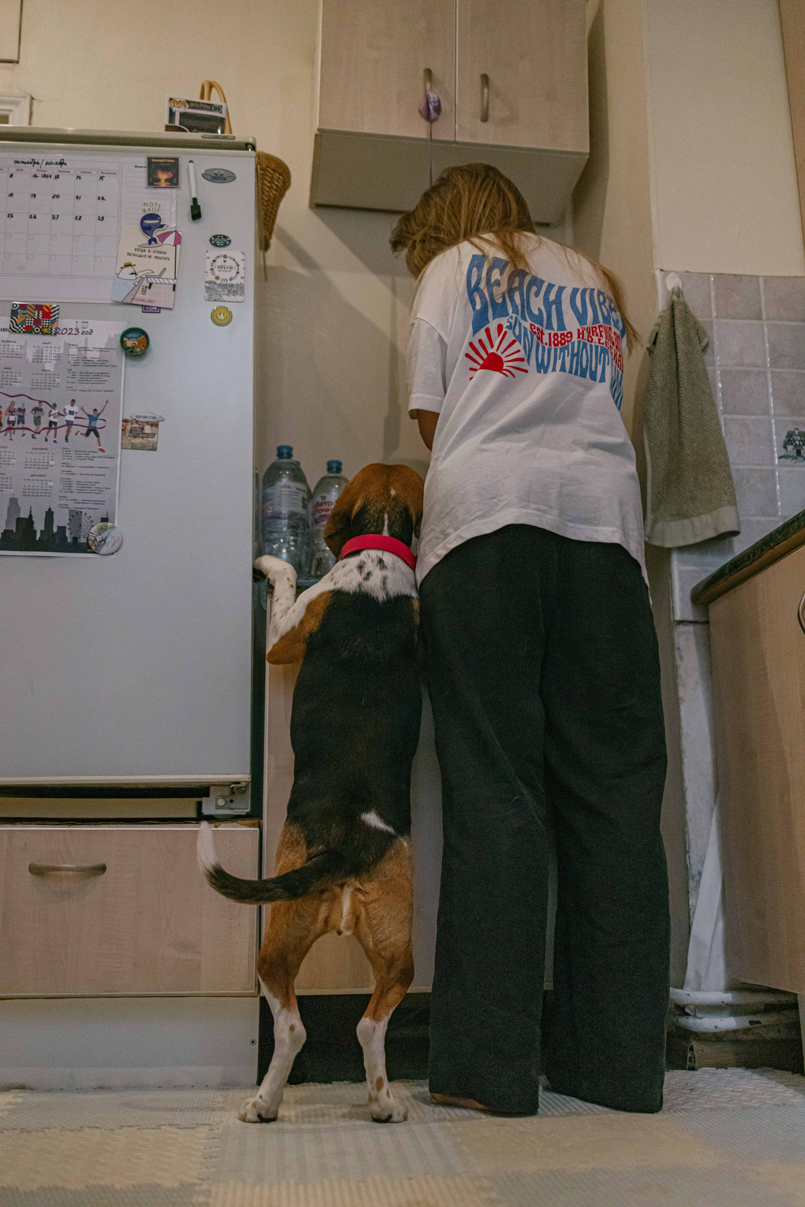 Света и Ива. Фотограф-анималист в Москве Лера Черноног