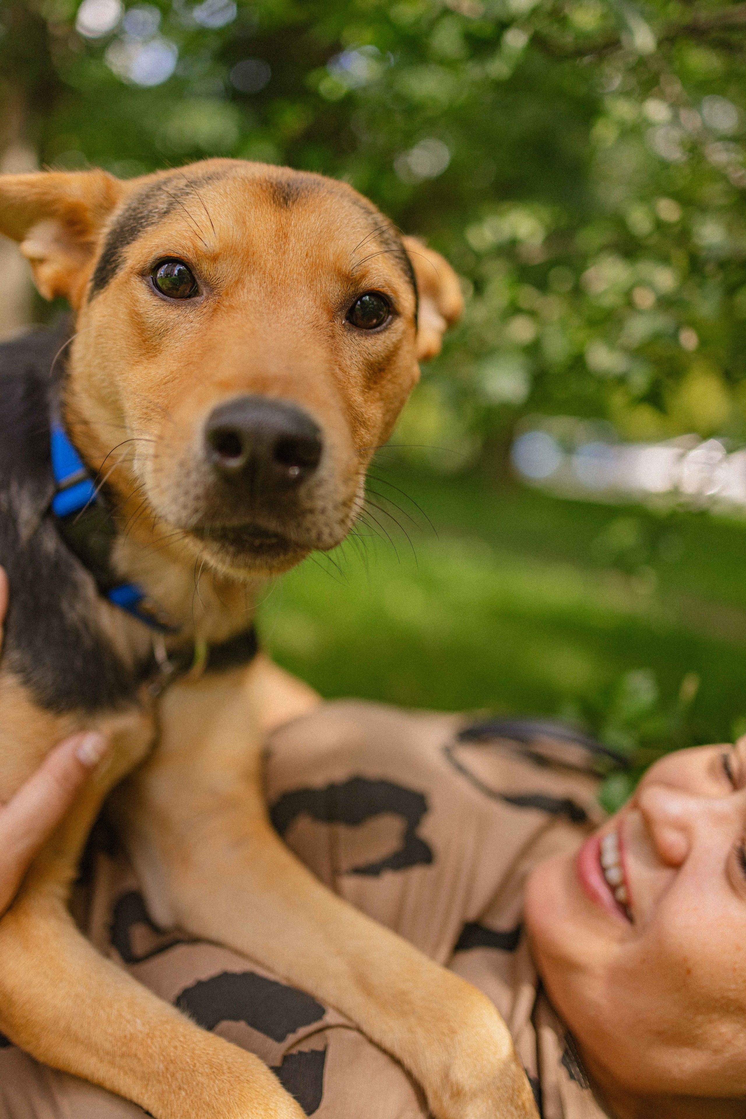 Джеки. Фотограф-анималист в Москве Лера Черноног