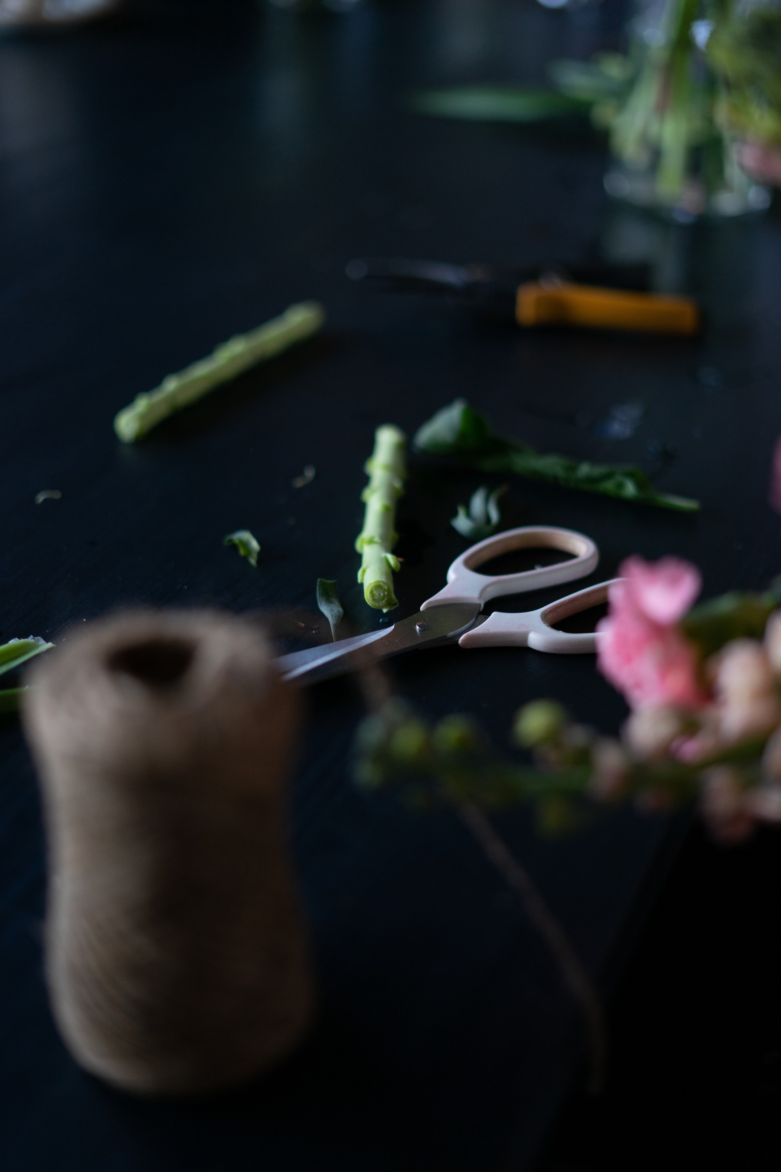 MC from a florist. Портретный и семейный фотограф в Мариуполе, РФ. Даша Жогло