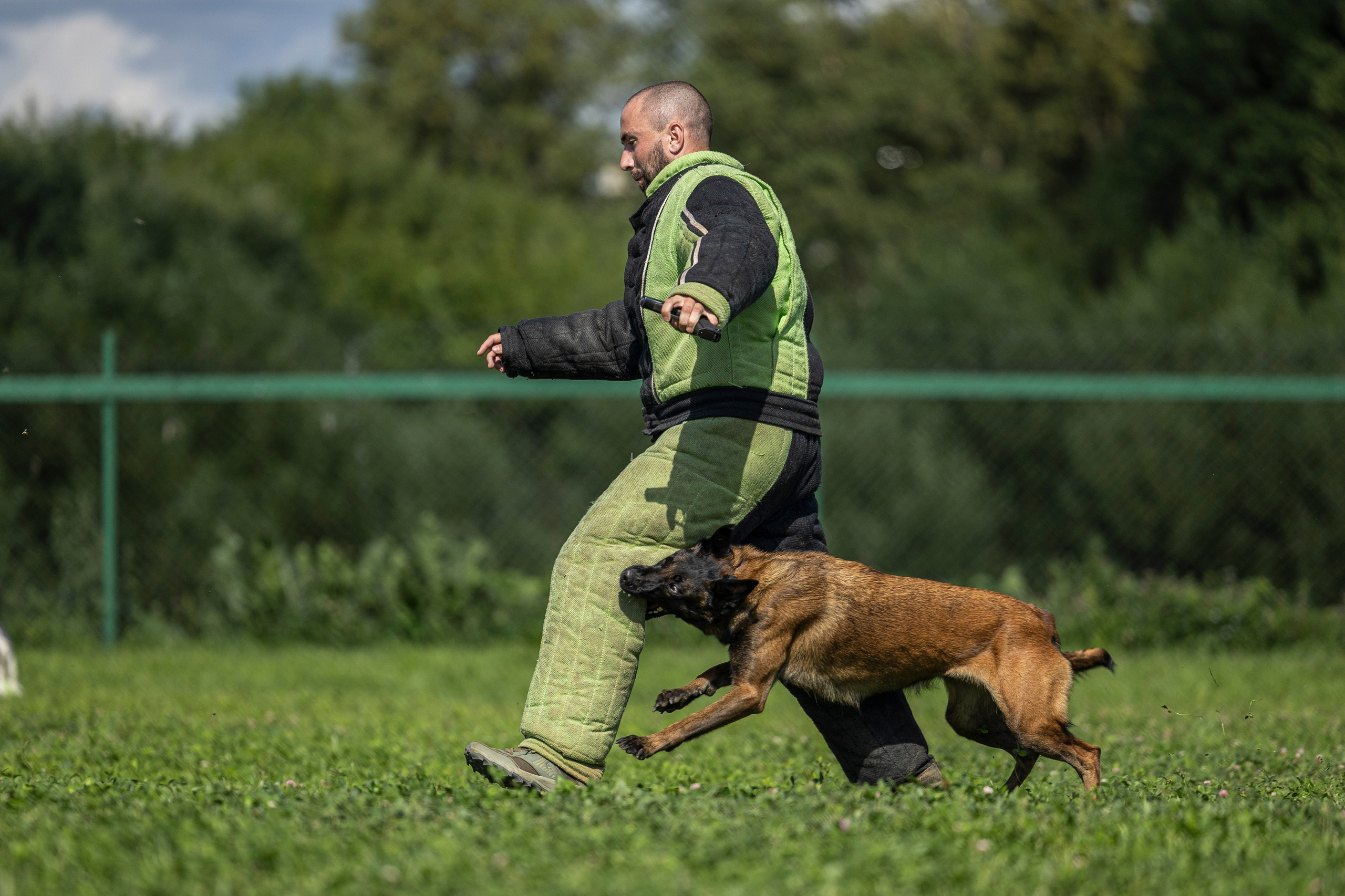 Соревнования по Мондьорингу г. Вологда 10-11.08.2024. Фотограф-анималист Анна Маринич