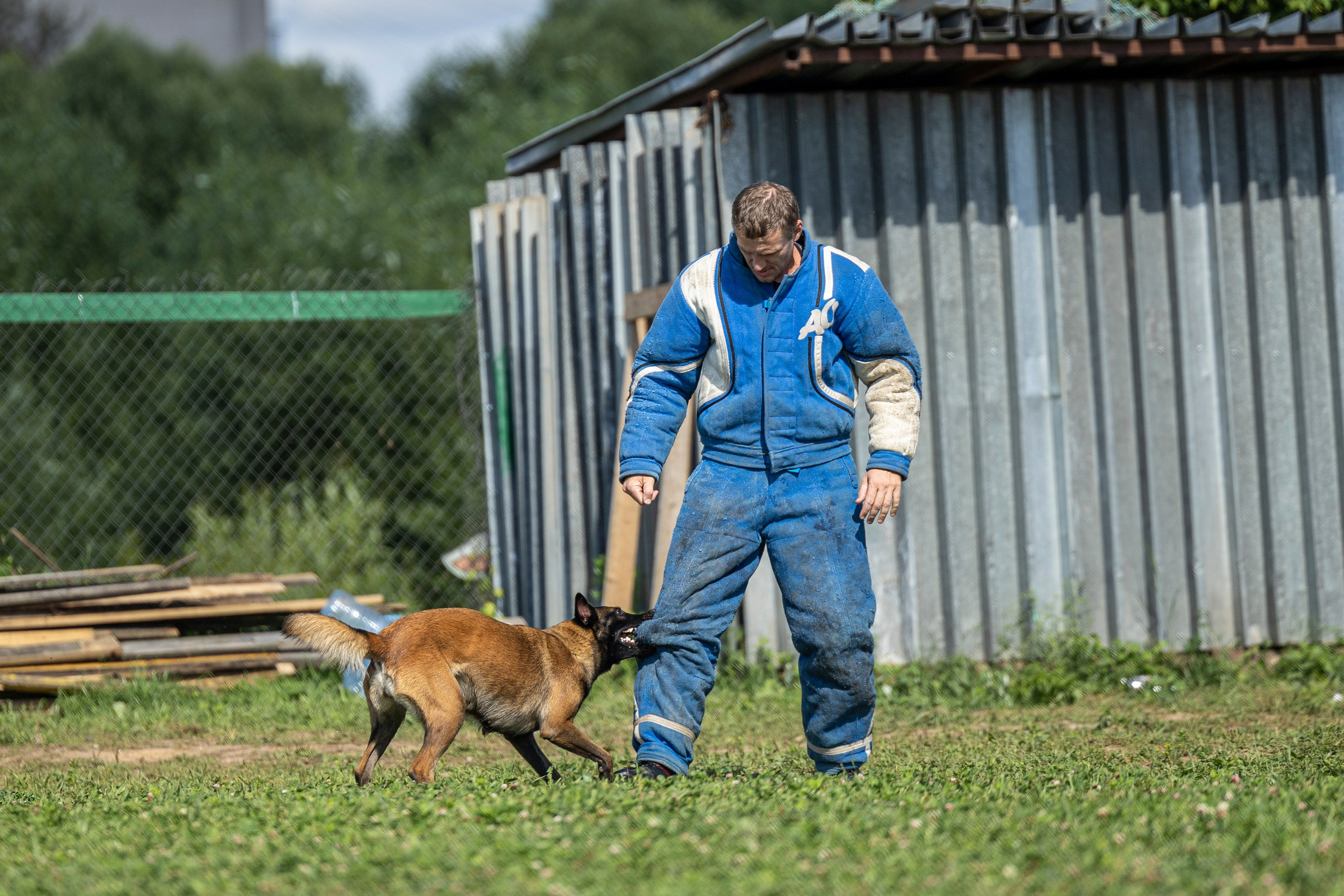 Соревнования по Мондьорингу г. Вологда 10-11.08.2024. Фотограф-анималист Анна Маринич