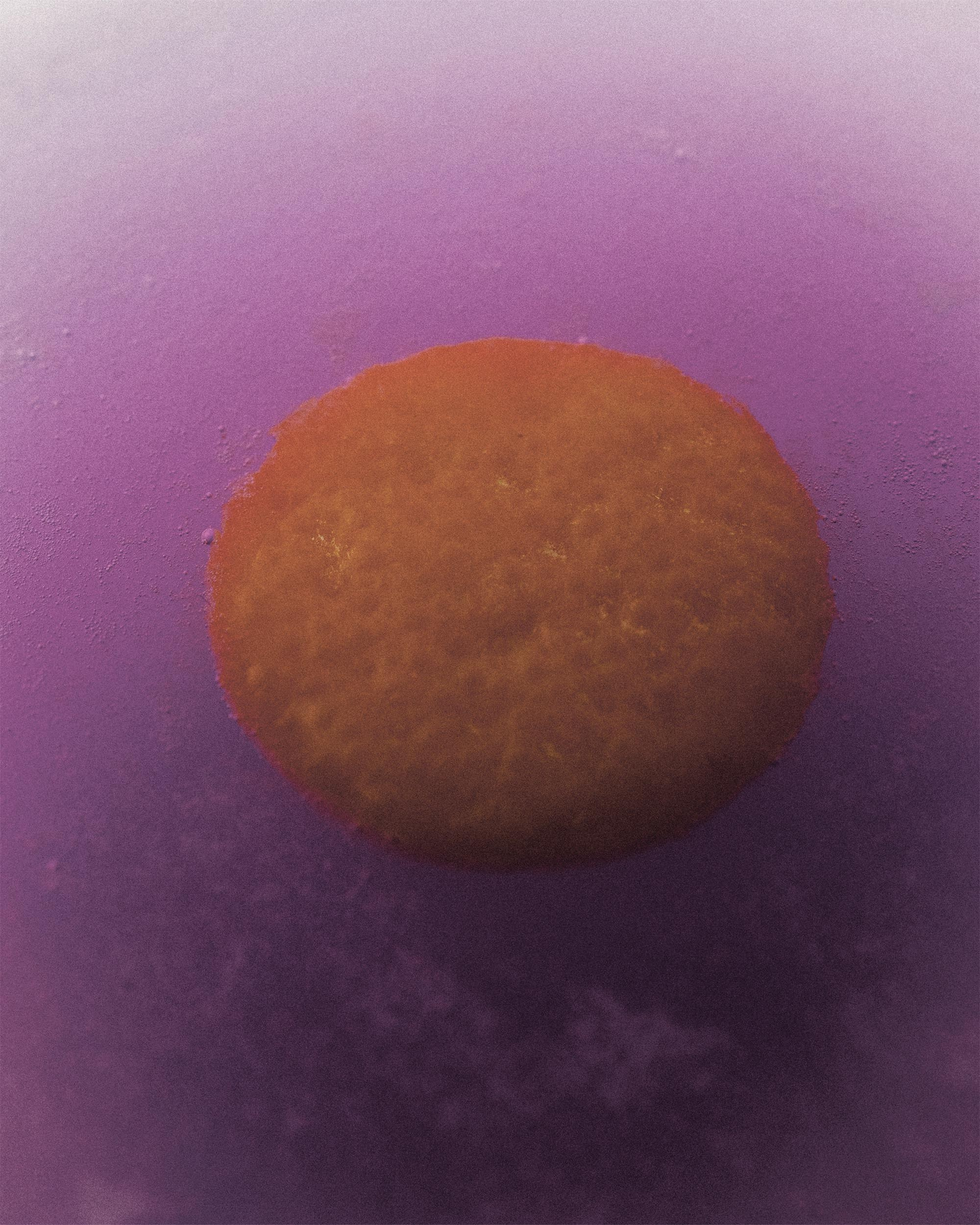 68 — ATOMIC. Ivan Petrov photographer