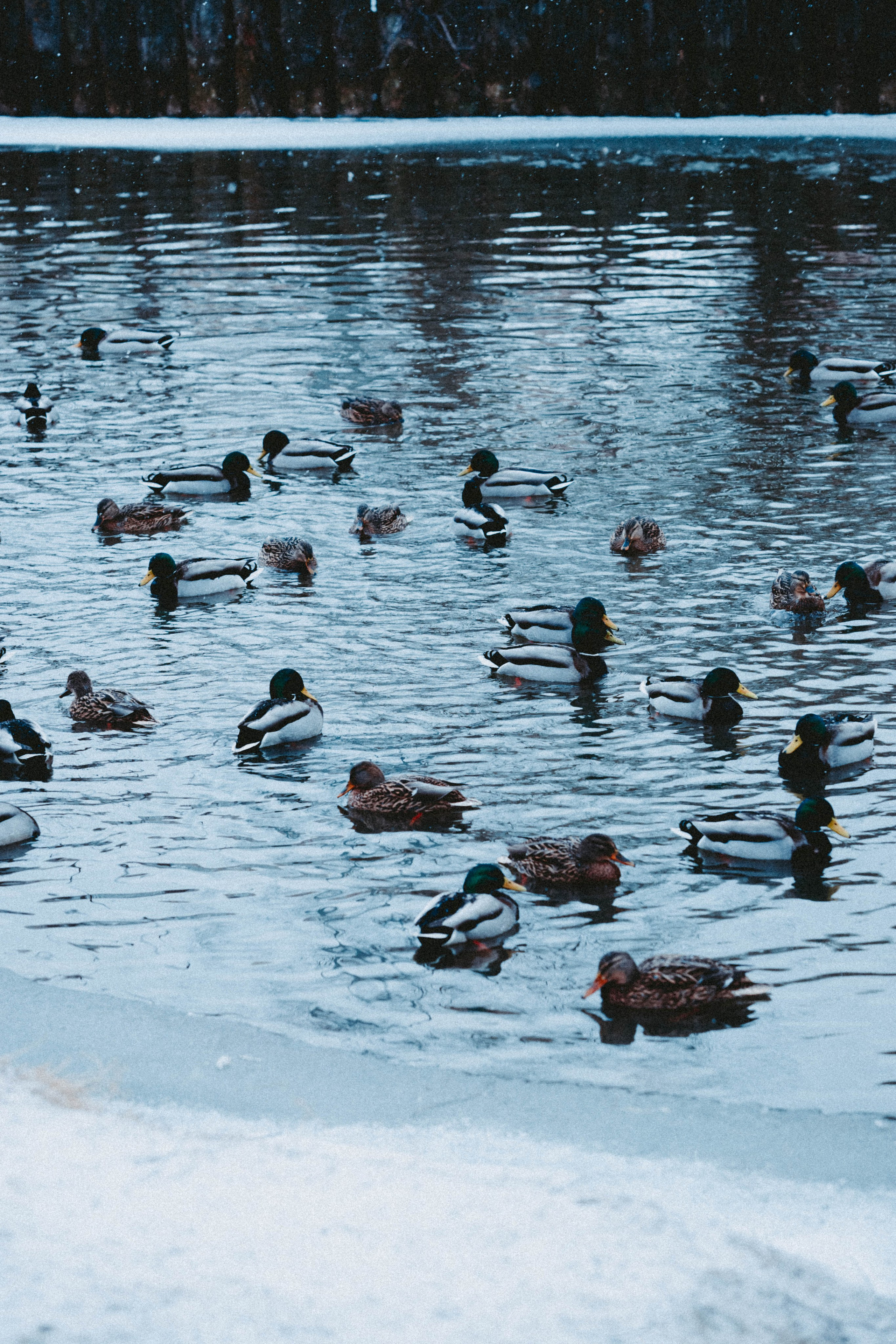 Марафон у дома_Мытищи. Александра Мельниченко/ Бегающий фотограф