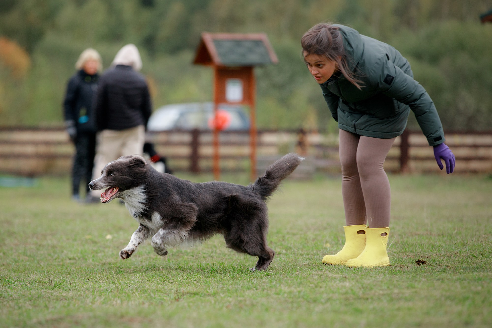 Лагерь по ОБД с Инной Баженовой. Фотограф-анималист Mary Mart — Москва, Питер