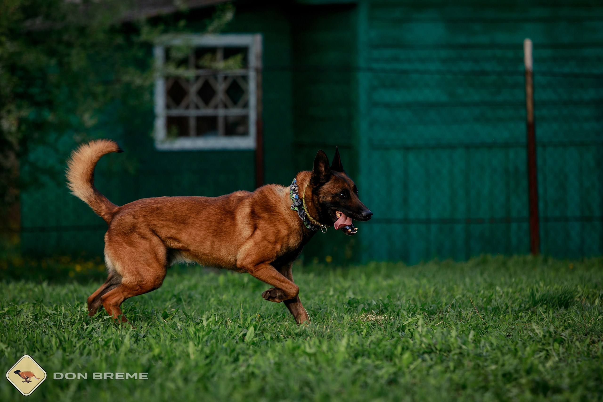 Семинар для фигурантов, день 2. Фотограф-анималист Mary Mart — Москва, Питер