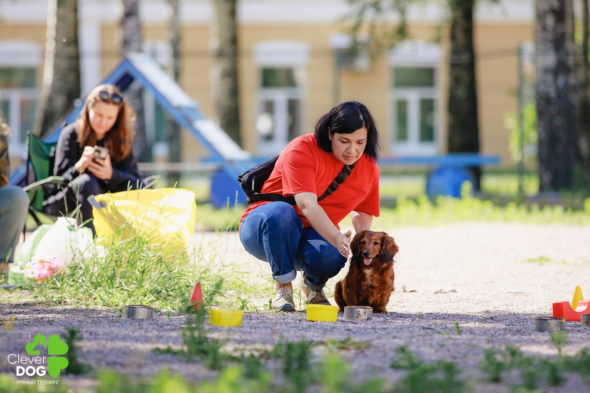 Семинар по поиску запаха с Иваном Ломовым, организатор CleverDog, СПб. Фотограф-анималист Mary Mart — Москва, Питер