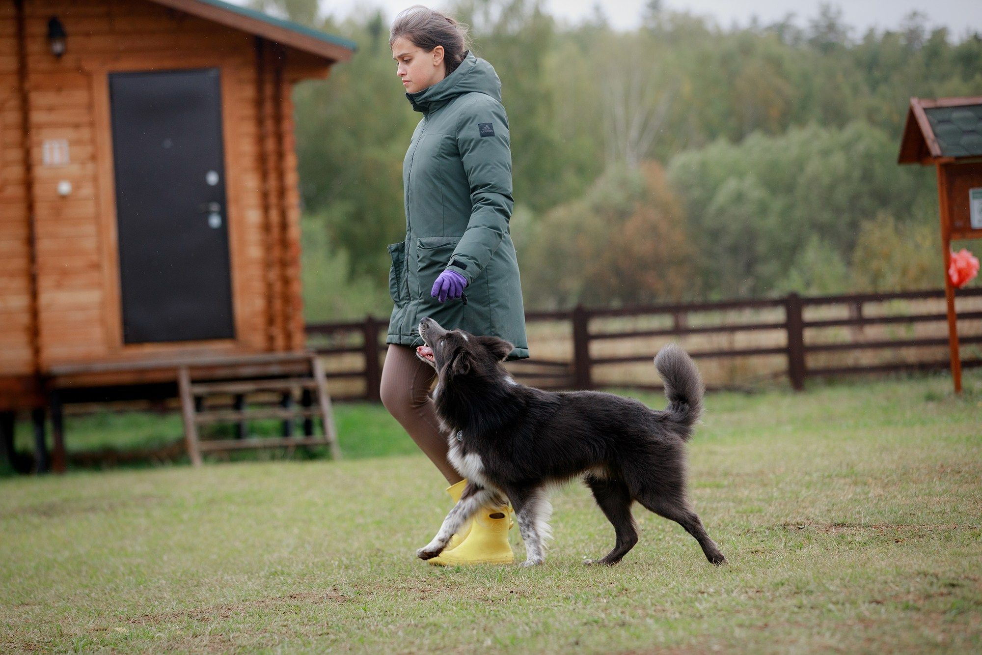Лагерь по ОБД с Инной Баженовой. Фотограф-анималист Mary Mart — Москва, Питер