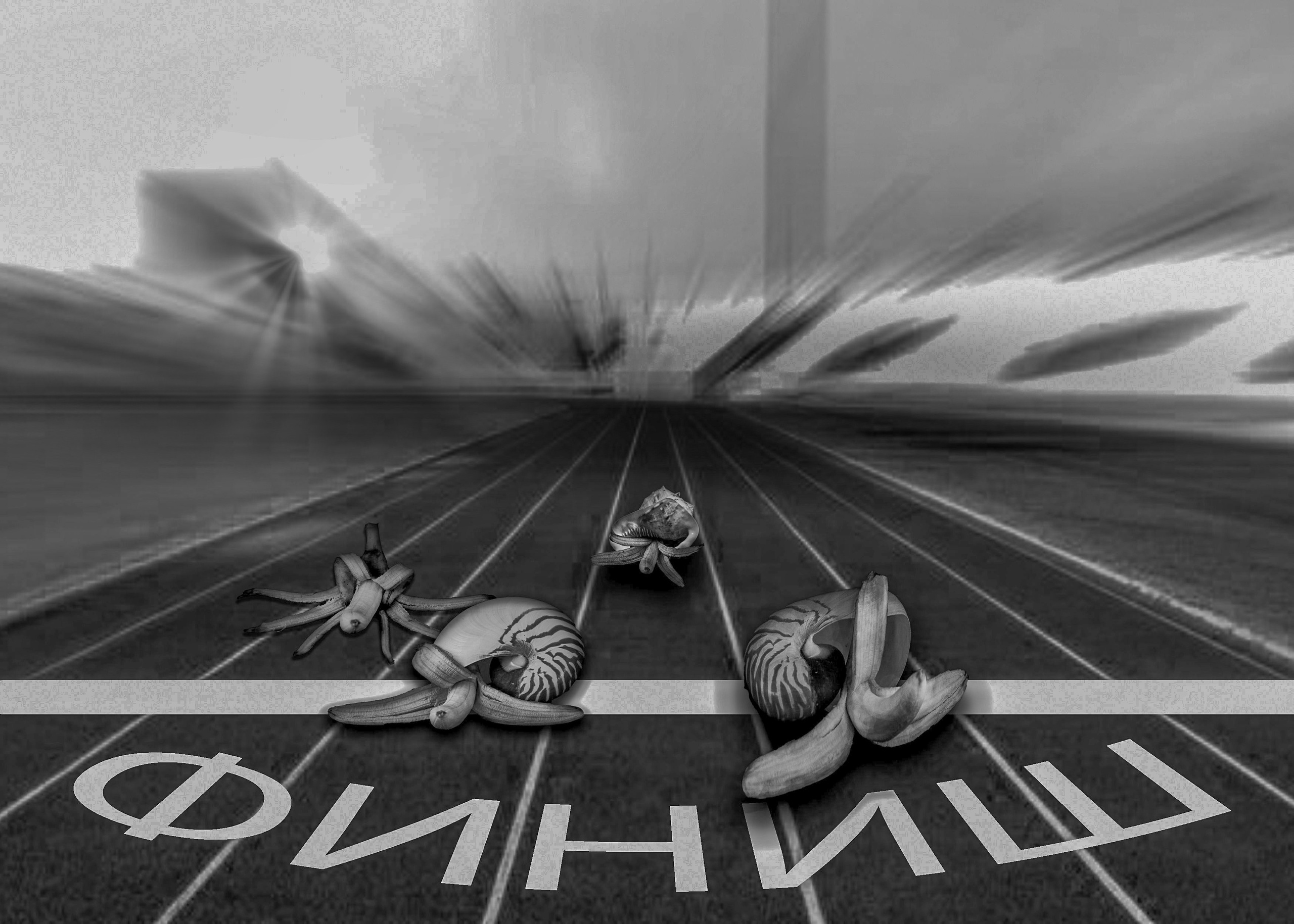 Идеи и передача через предметы. Медиапродюсер, фотограф в Минеральных Водах —Виктор Холодов