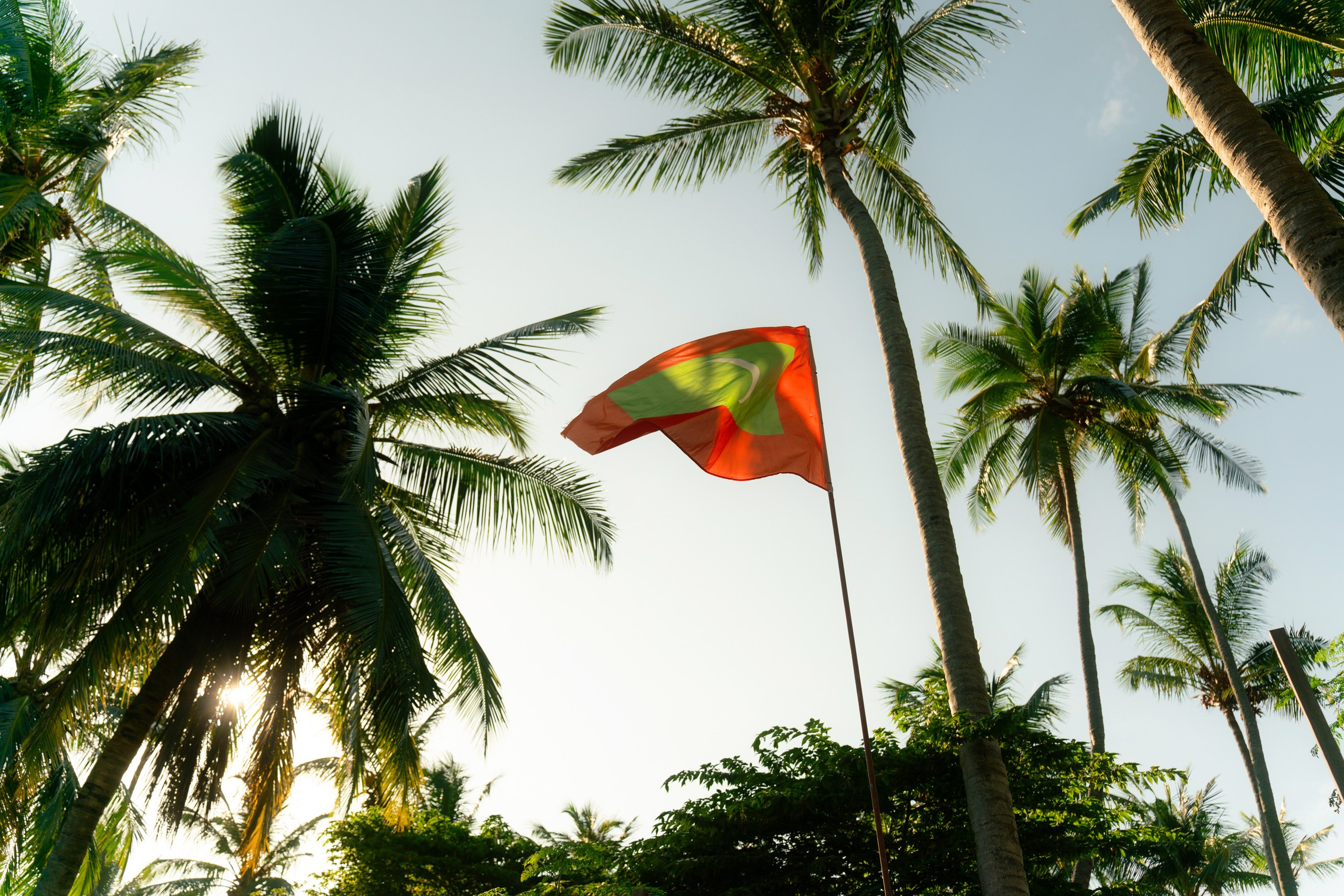 Ktokuda. Фотограф в Хабаровске. Фотография за 24 часа