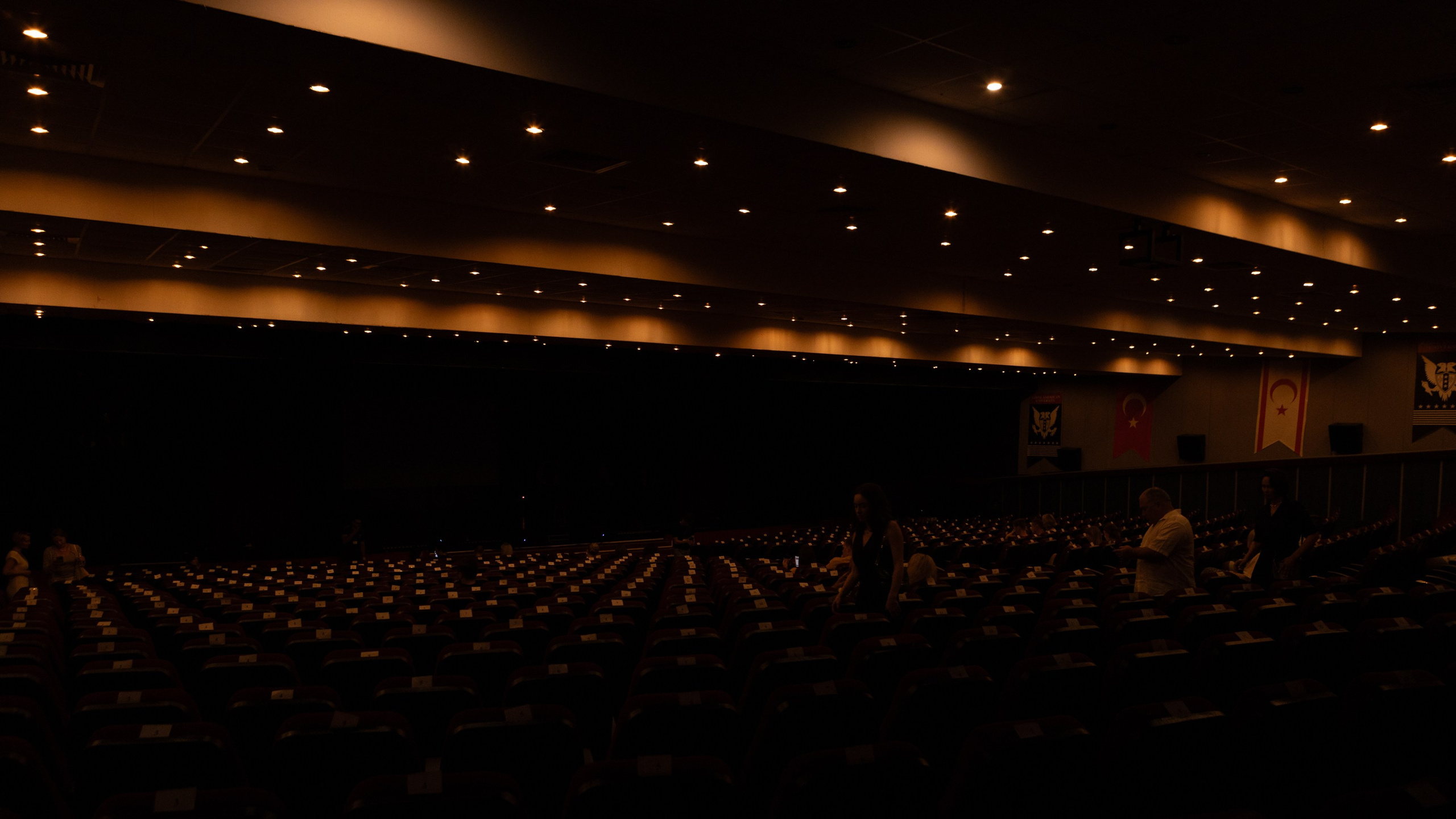 Stand Up. Photographer in Batumi, Georgia Pavel Sharnikov