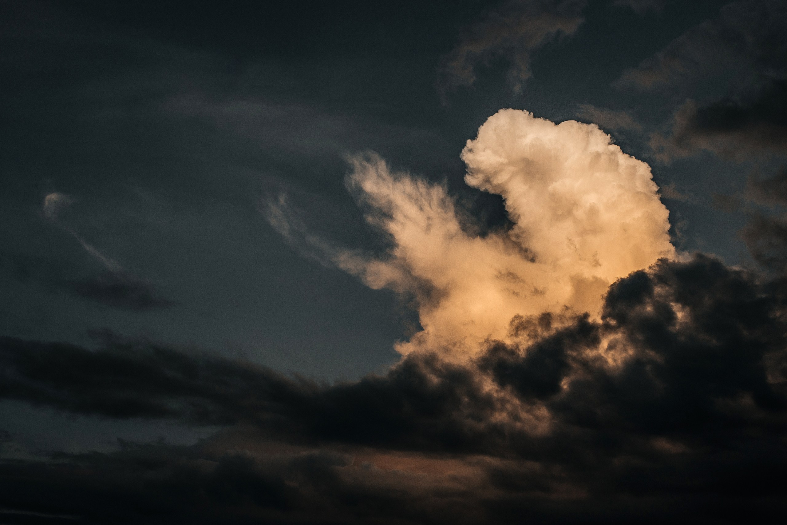 Здравствуйте! Я&nbsp;свадебный фотограф из&nbsp;Ульяновска, работаю в&nbsp;том числе по&nbsp;всей России и&nbsp;с&nbsp;выездом за&nbsp;границу. Снимаю свадьбы, lovestory, корпоративы, светский репортаж. Провожу обучение по&nbsp;фотографии, мастер-классы и&nbsp;воркшопы для других фотографов.