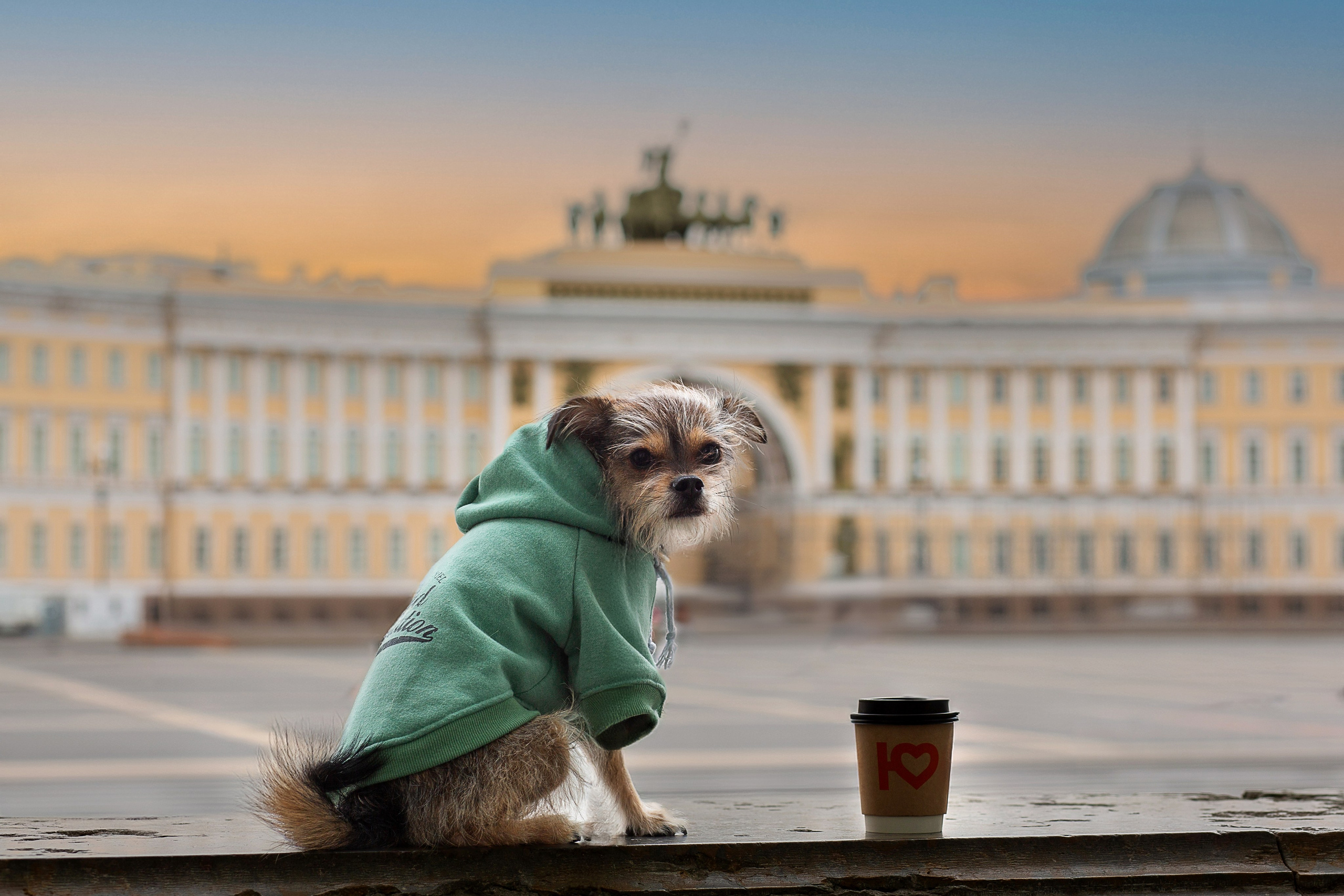 Фотосессия питомца. Душевный фотограф в Санкт-Петербурге. Свадебные и семейные фотосессии