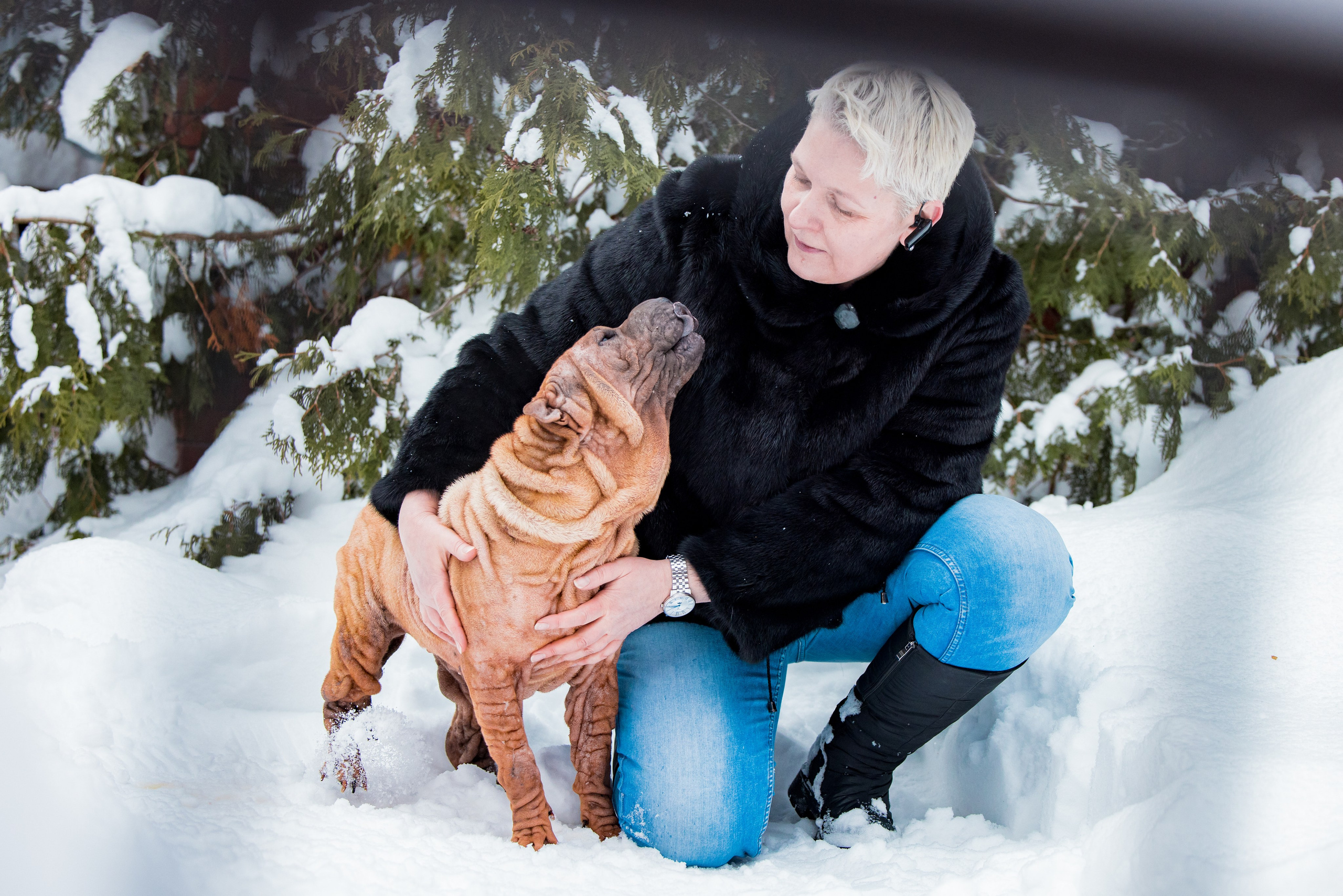 В гостях у шарпеев 16.01.2024. Фотограф-анималист Юлия Германика
