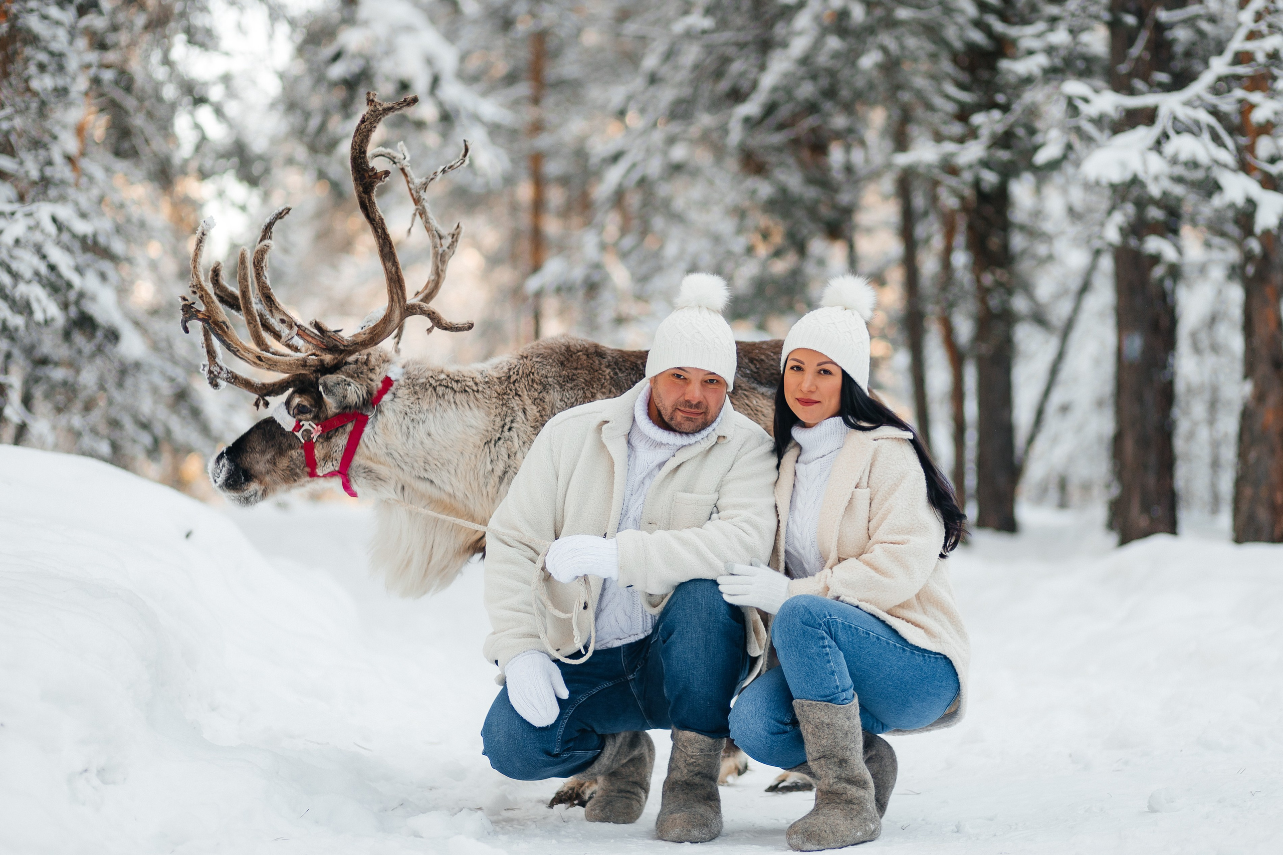 СЕВЕРНЫЙ ОЛЕНЬ. Свадебный и семейный фотограф Динар Гильмутдинов