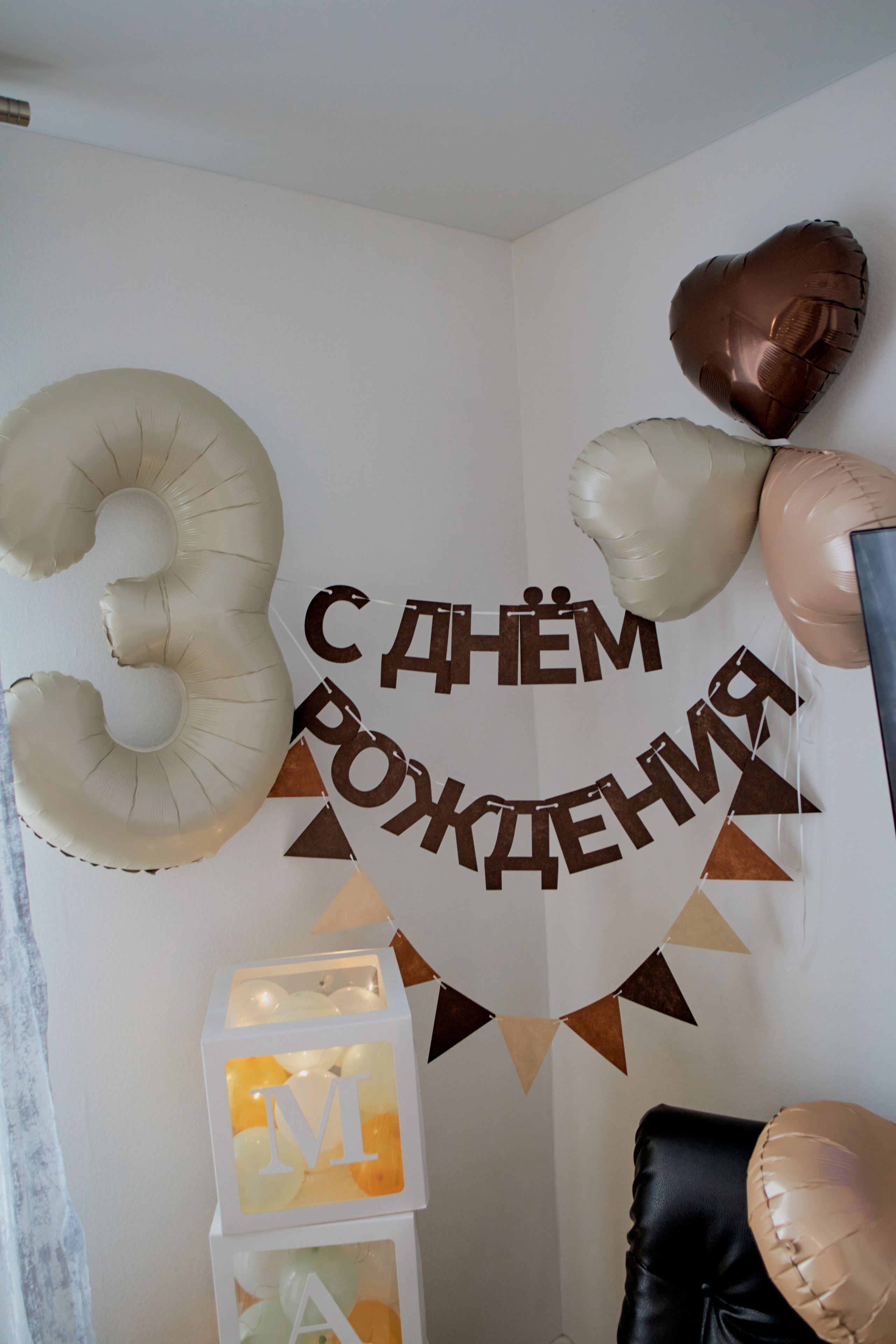 Три кота. Фотограф Москва