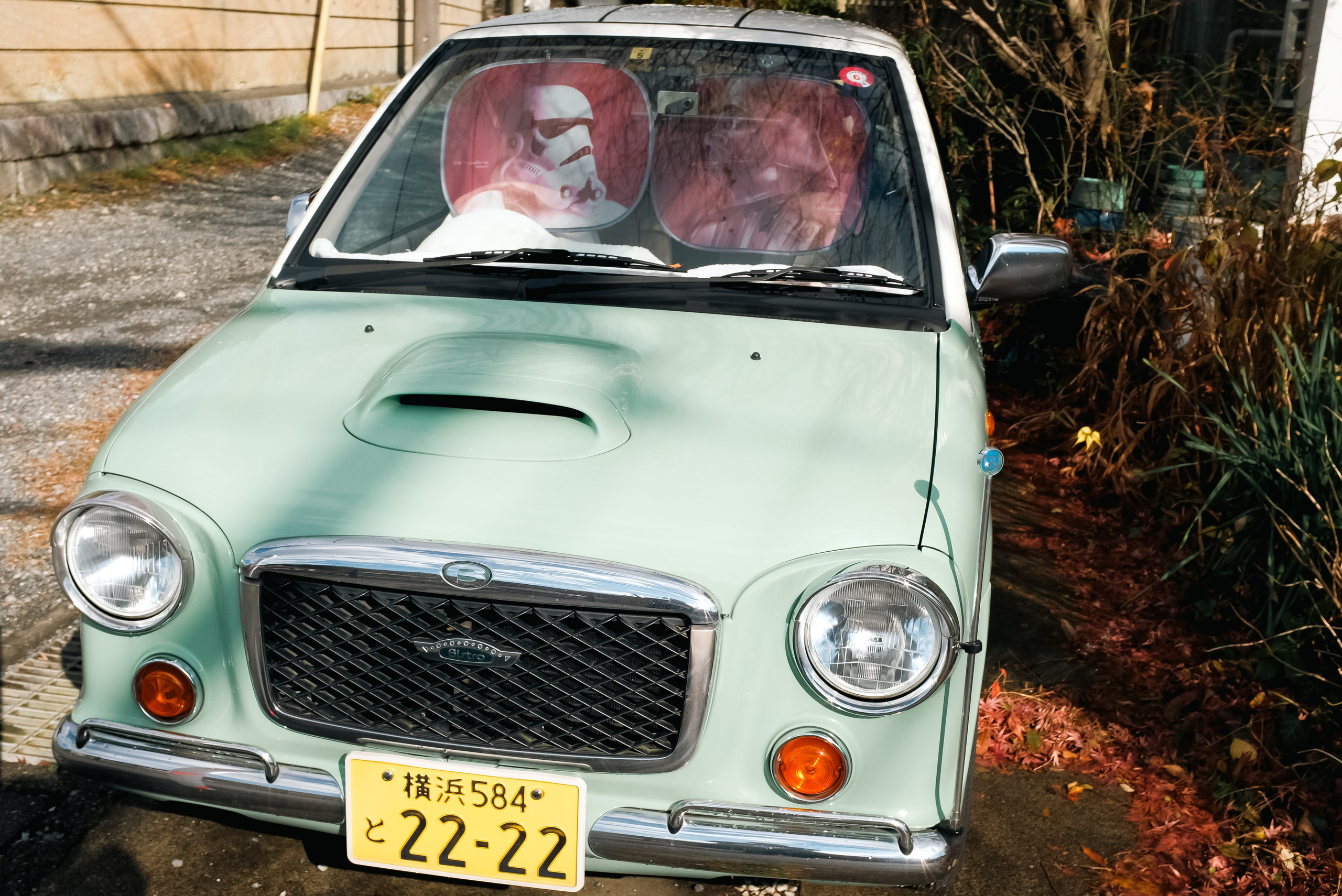 Kamakura. Regina Platonova