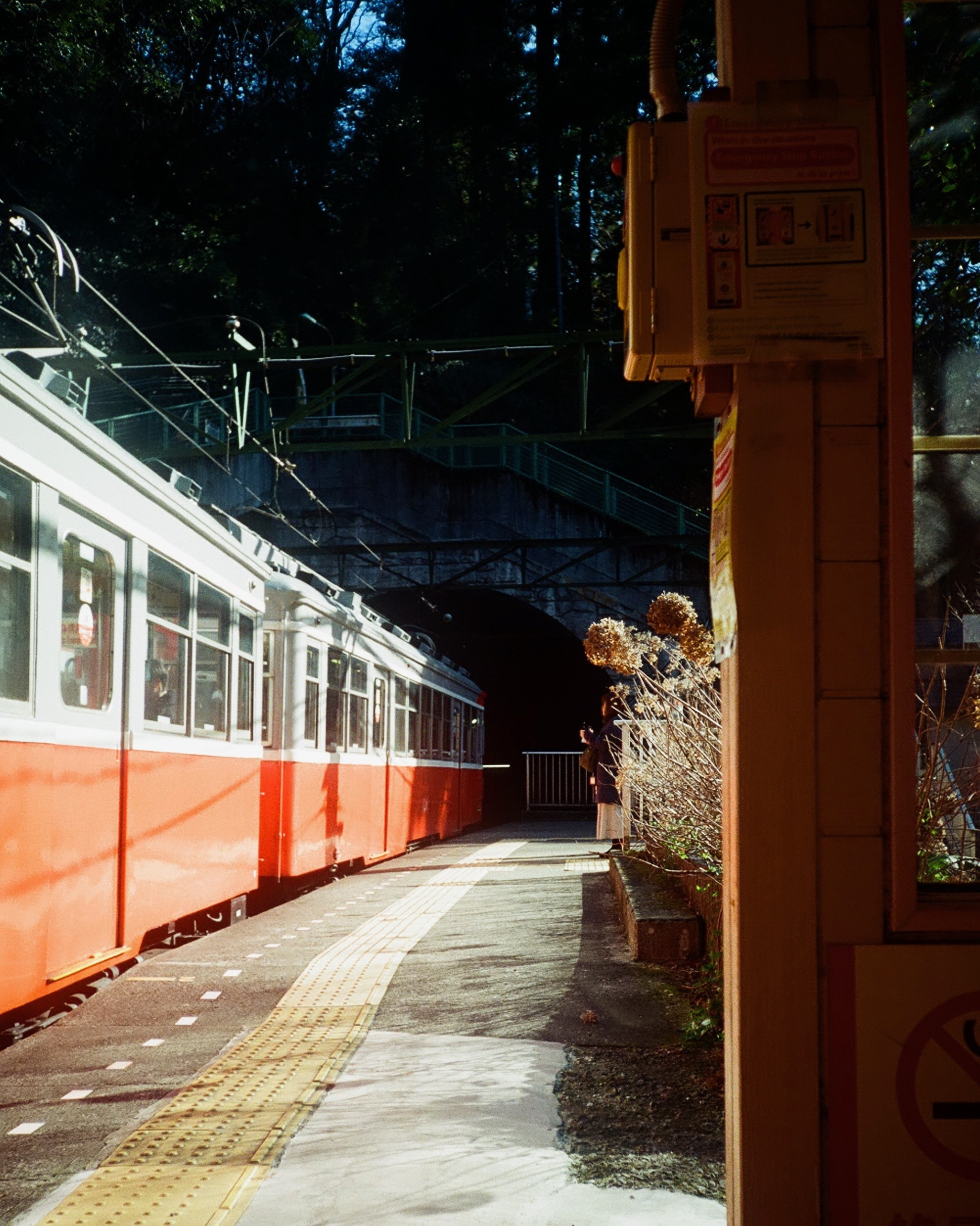 Hakone/26. Regina Platonova