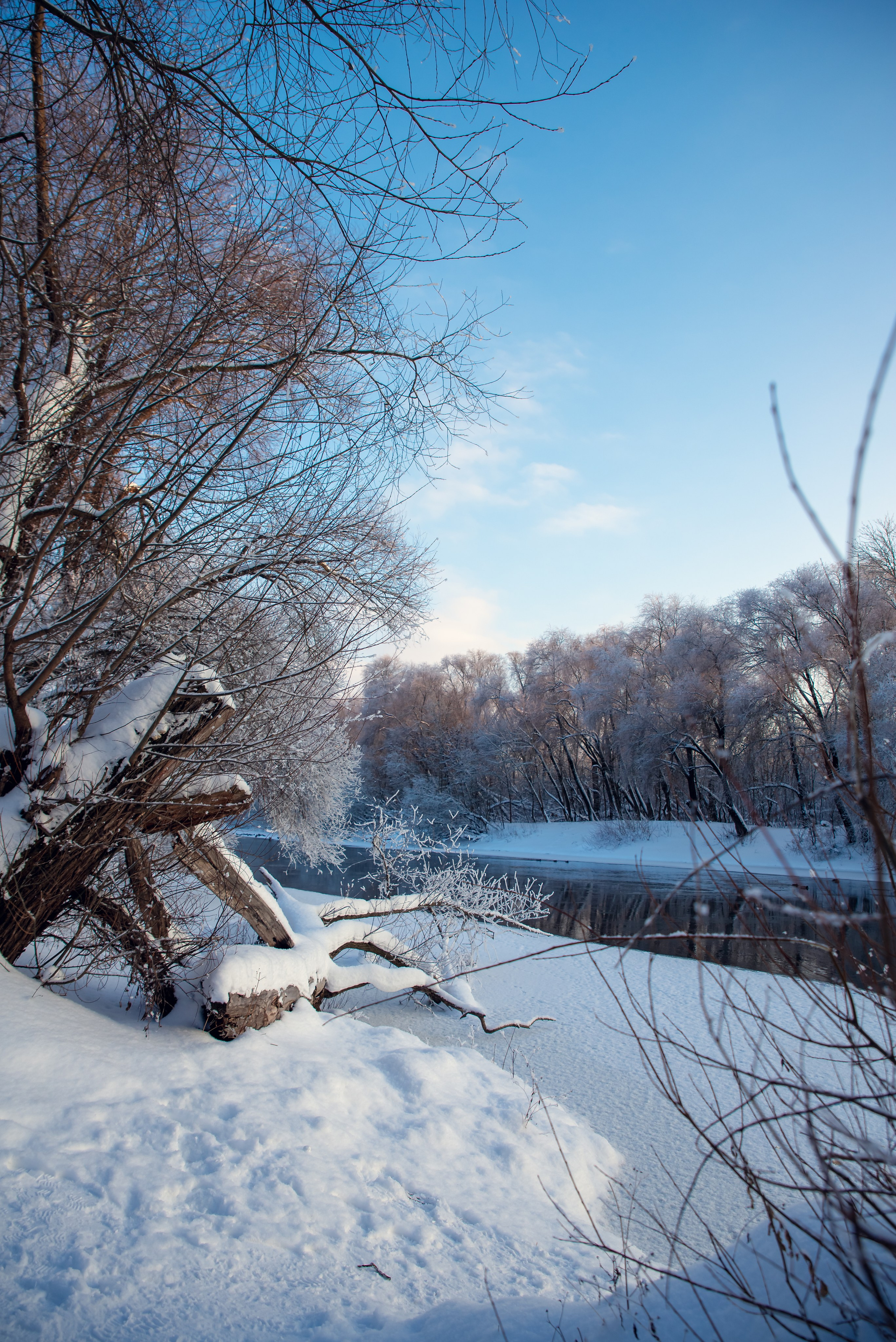 Зимушка зима. Фотограф Крещение Венчание Москва